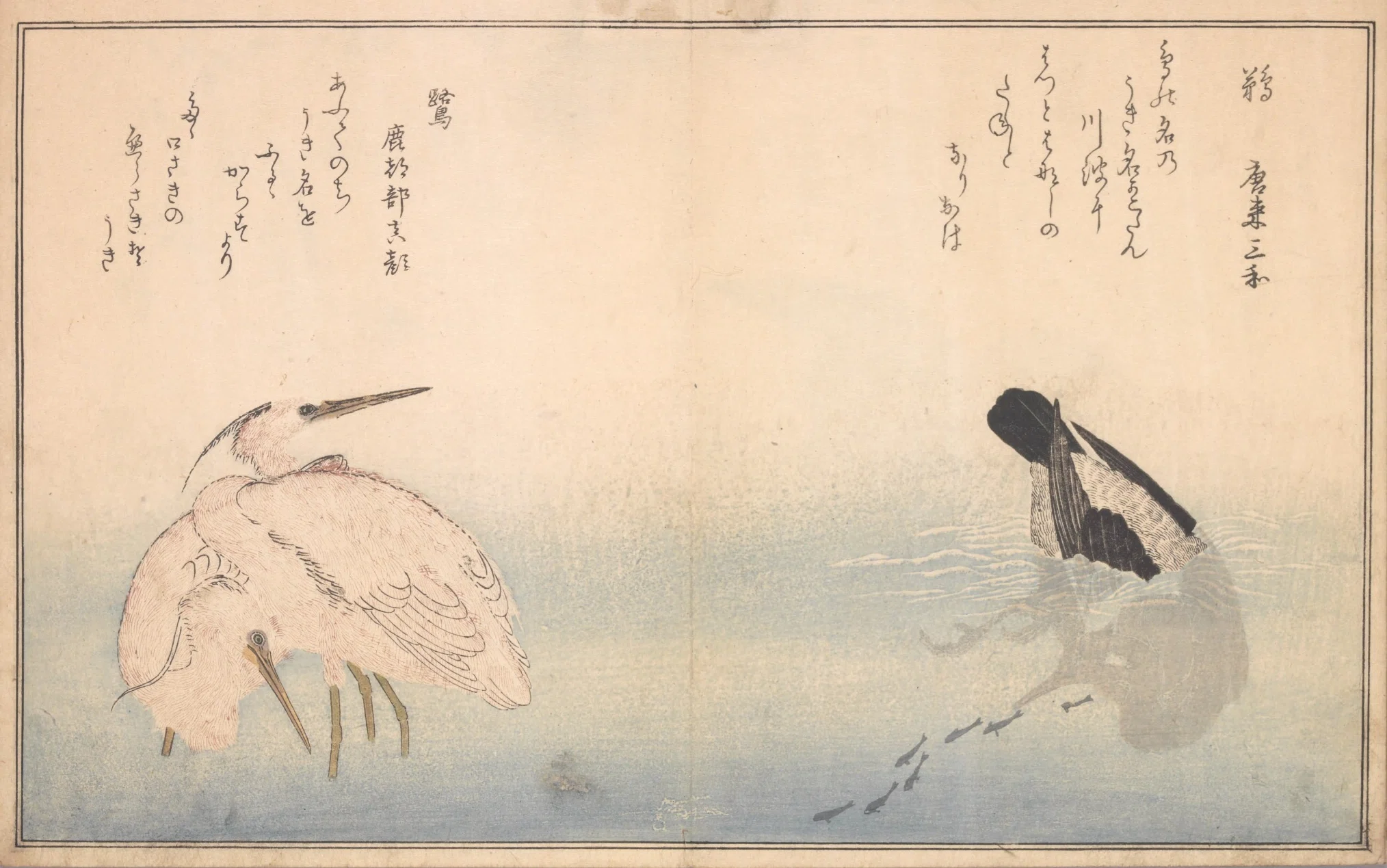蔦屋重三郎×喜多川歌麿】絵本百千鳥（2）木兎×鷽・かし鳥×鴟鶉・鵜×鷺