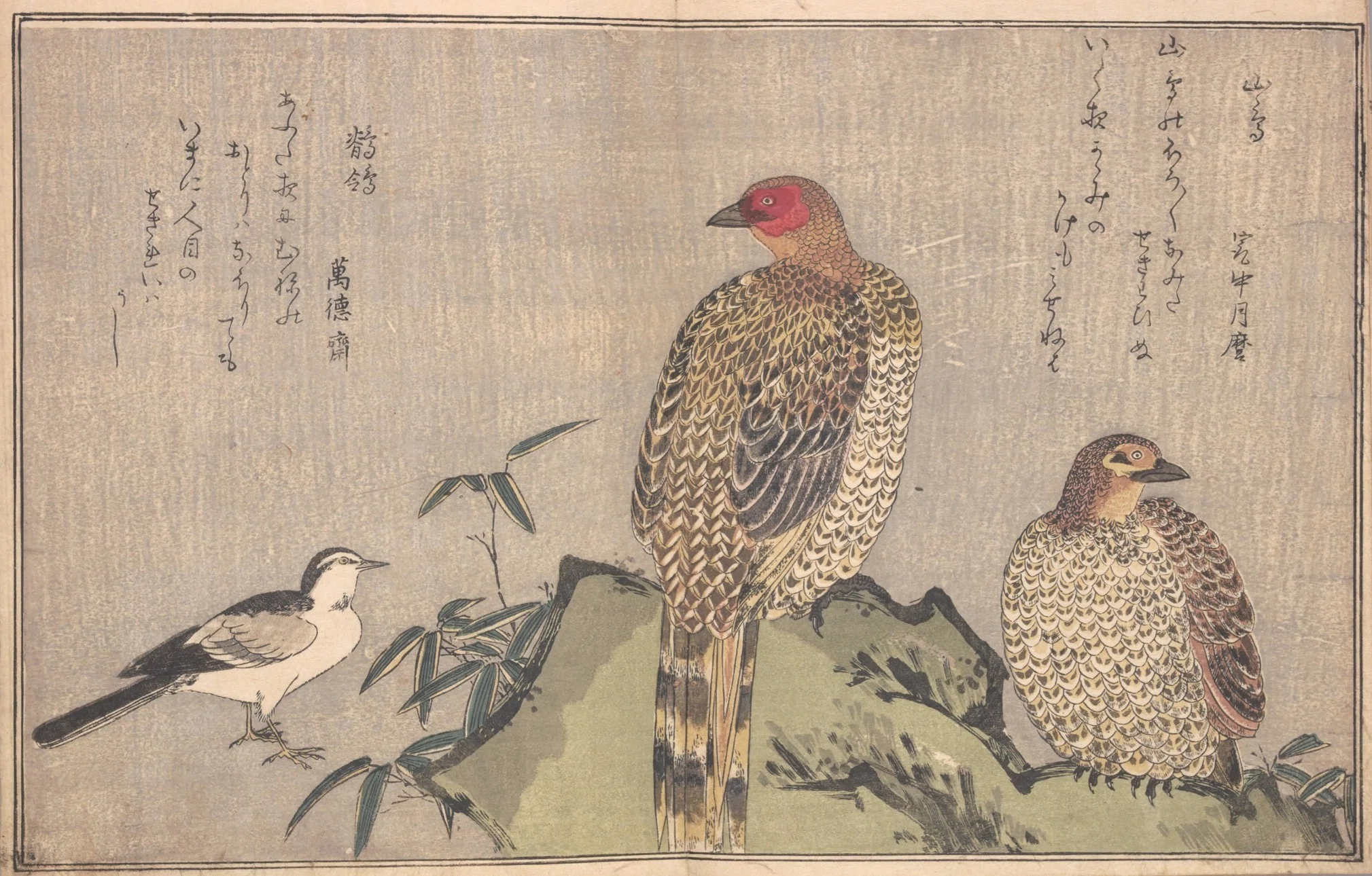 蔦屋重三郎×喜多川歌麿】絵本百千鳥（2）木兎×鷽・かし鳥×鴟鶉・鵜×鷺