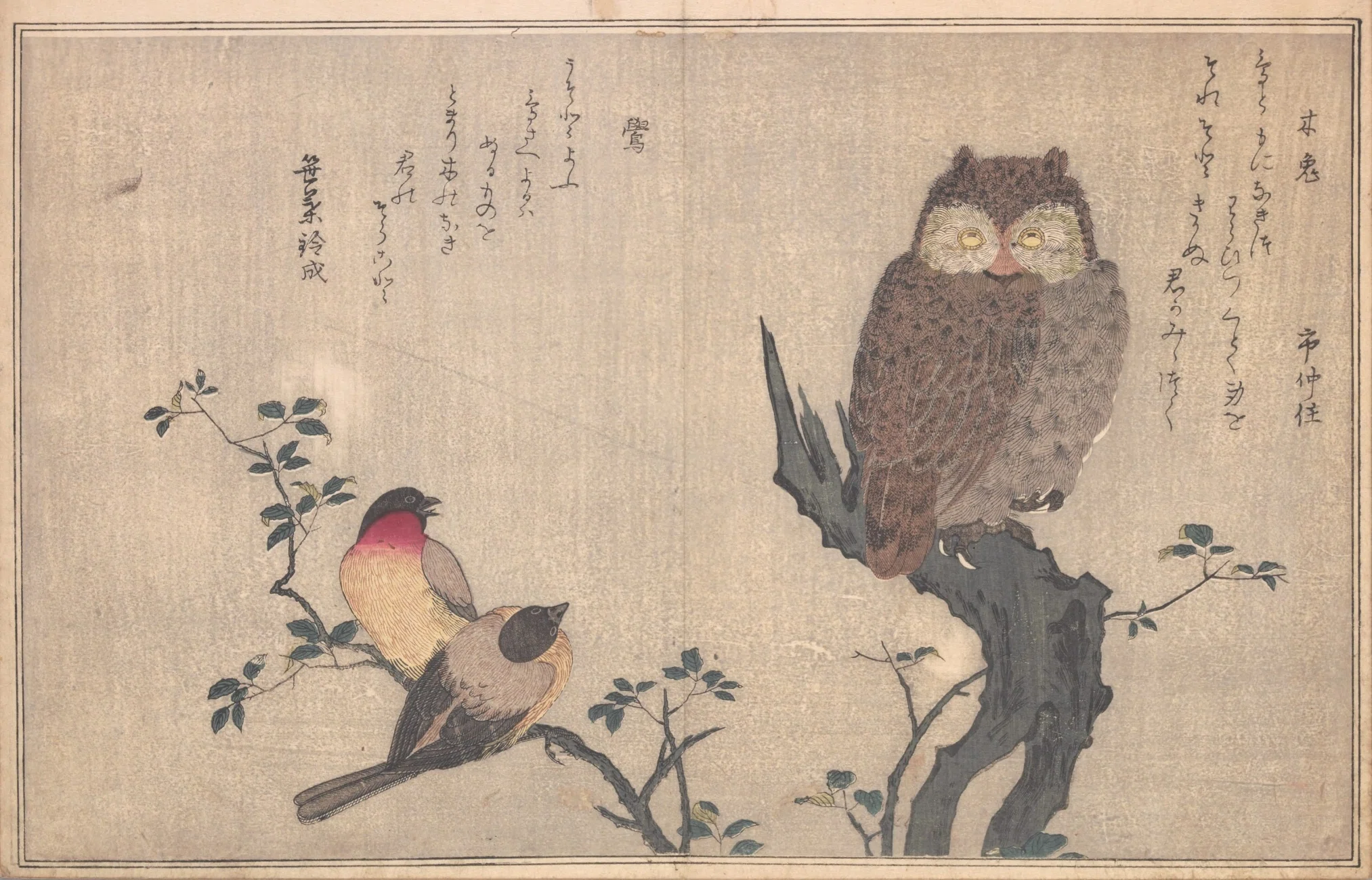 蔦屋重三郎×喜多川歌麿】絵本百千鳥（2）木兎×鷽・かし鳥×鴟鶉・鵜×鷺