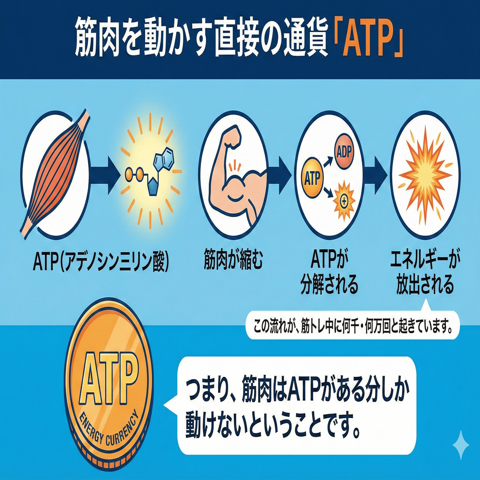 Day2】筋肉とエネルギーの前提条件― トレーニング以前に決まっている3つの条件｜GreeusAI パーソナルウェルビーイングエージェント