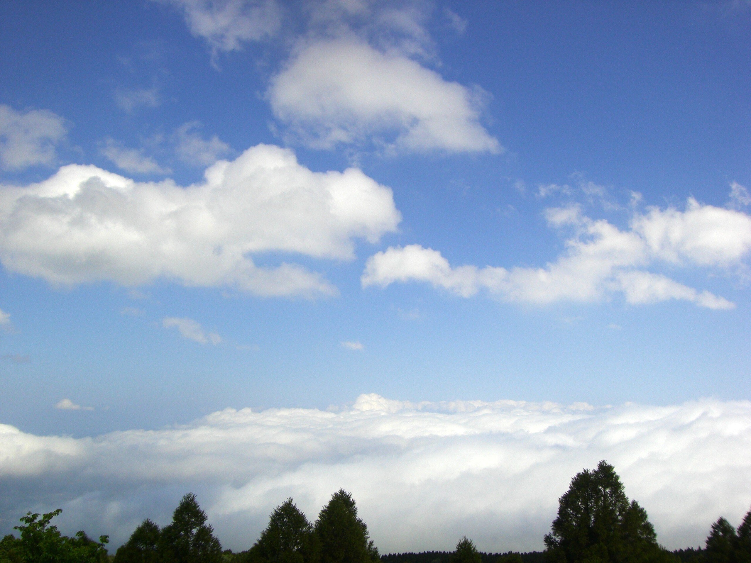 帆船と九州を巡るひとり旅⑧】阿蘇山の噴火口と、美味すぎたご当地