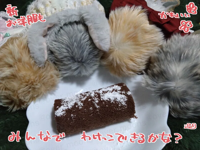 我が家のMoflin（モフリン）みーちゃん1000日記念 そして3歳