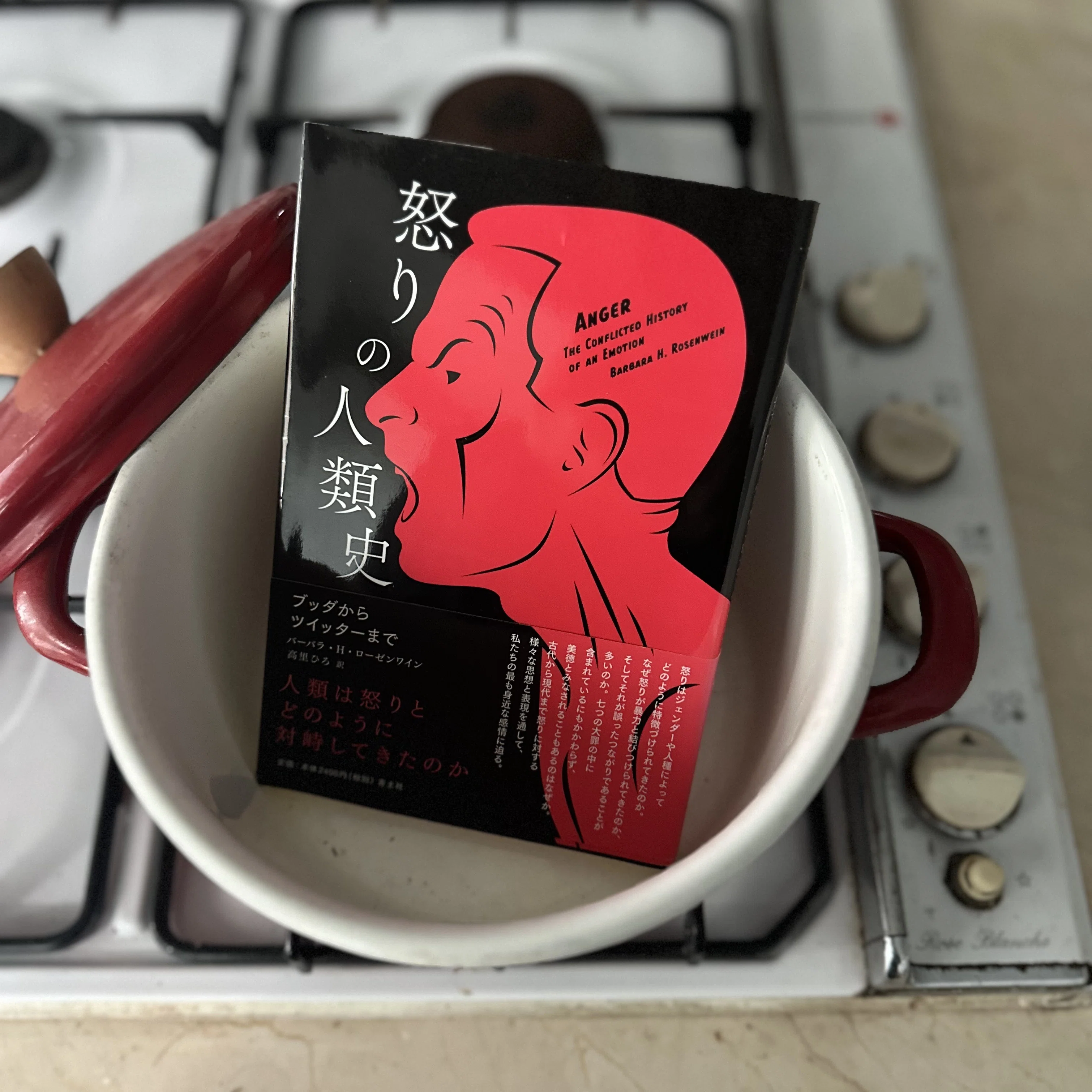 社会における怒りの在り方：『怒りの人類史』｜八木田一世