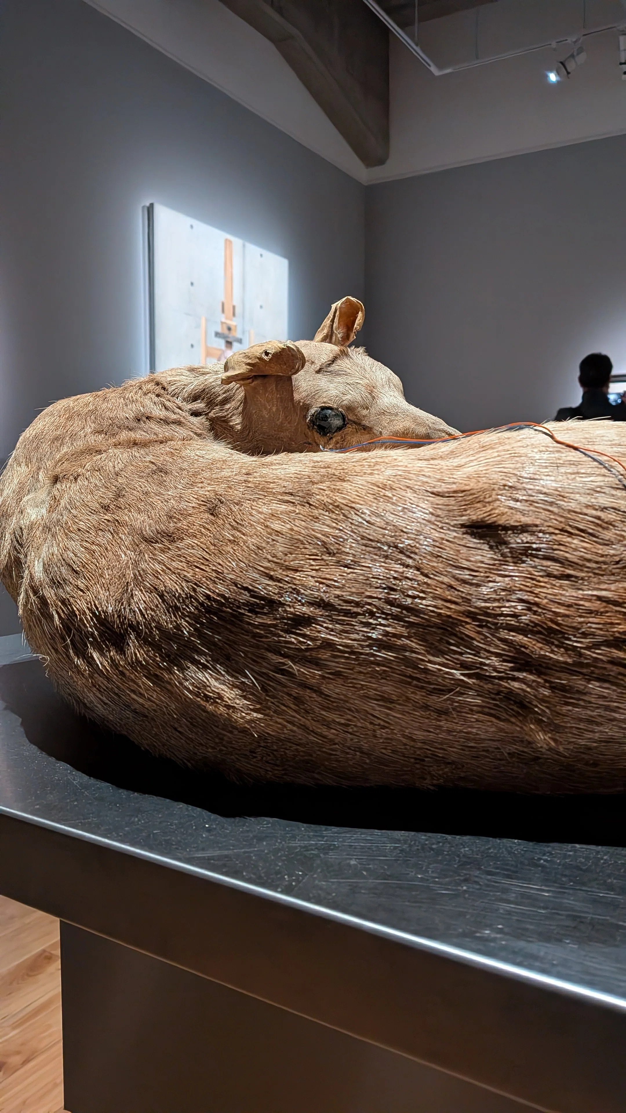 諏訪敦｜きみはうつくしい（WHAT MUSEUM）【展覧会記録】｜うらしまちゃん