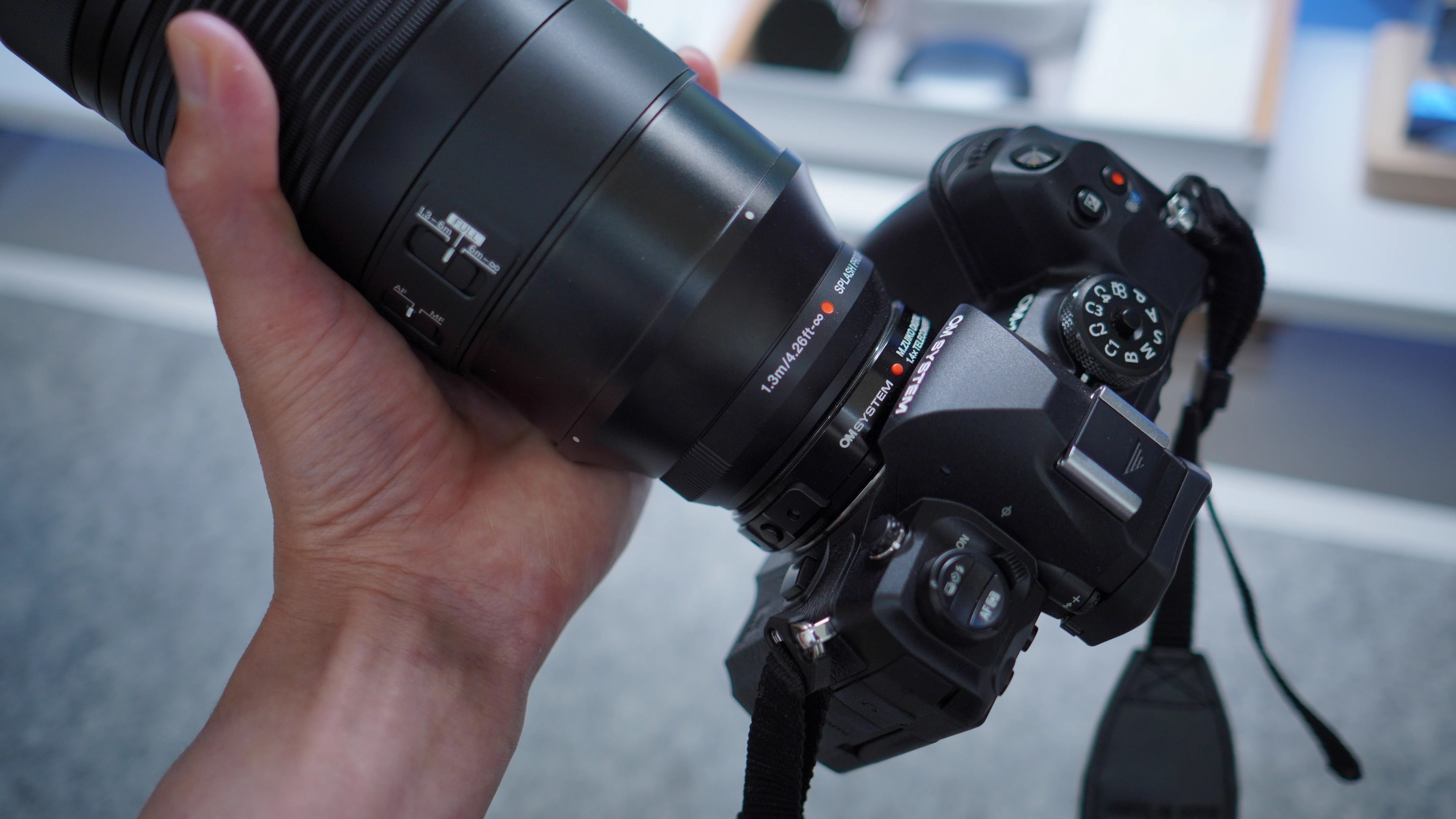寄れる”ことの恩恵を感じた瞬間【OM-1 Mark II + 100-400mm II 実写