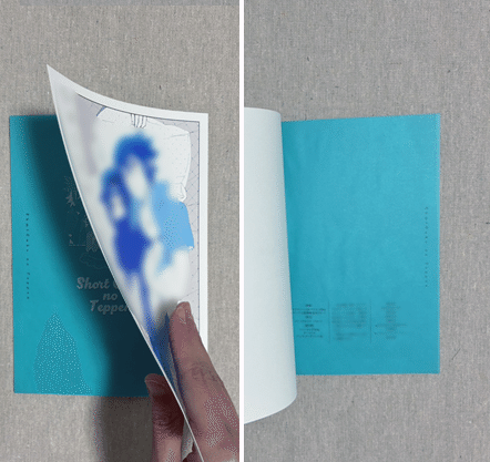 2025年】二次BL同人誌装丁まとめ～モザイクを添えて～｜小野崎ねり