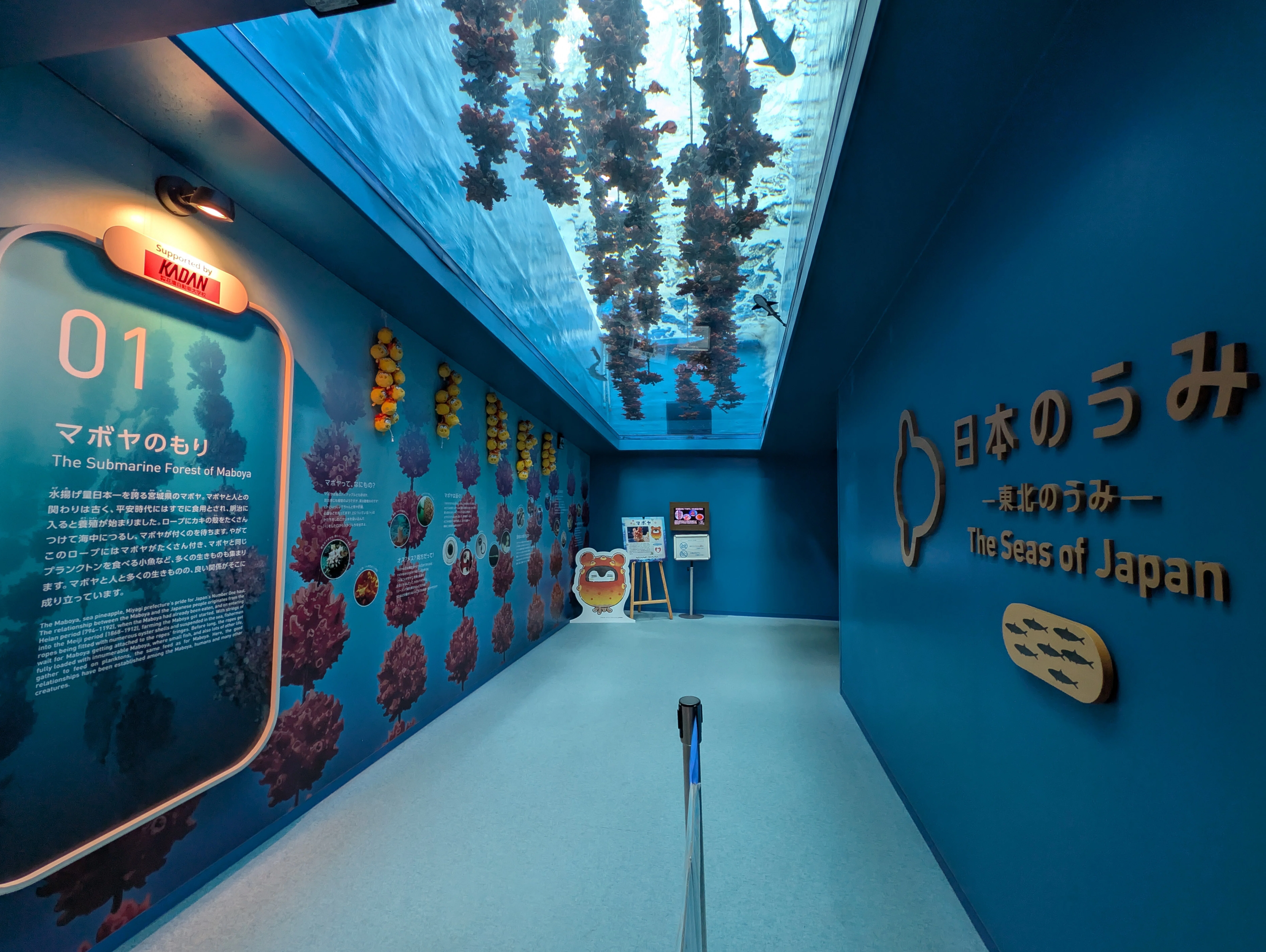 仙台うみの杜水族館×コウペンちゃん」にいってきました｜イベントレポ