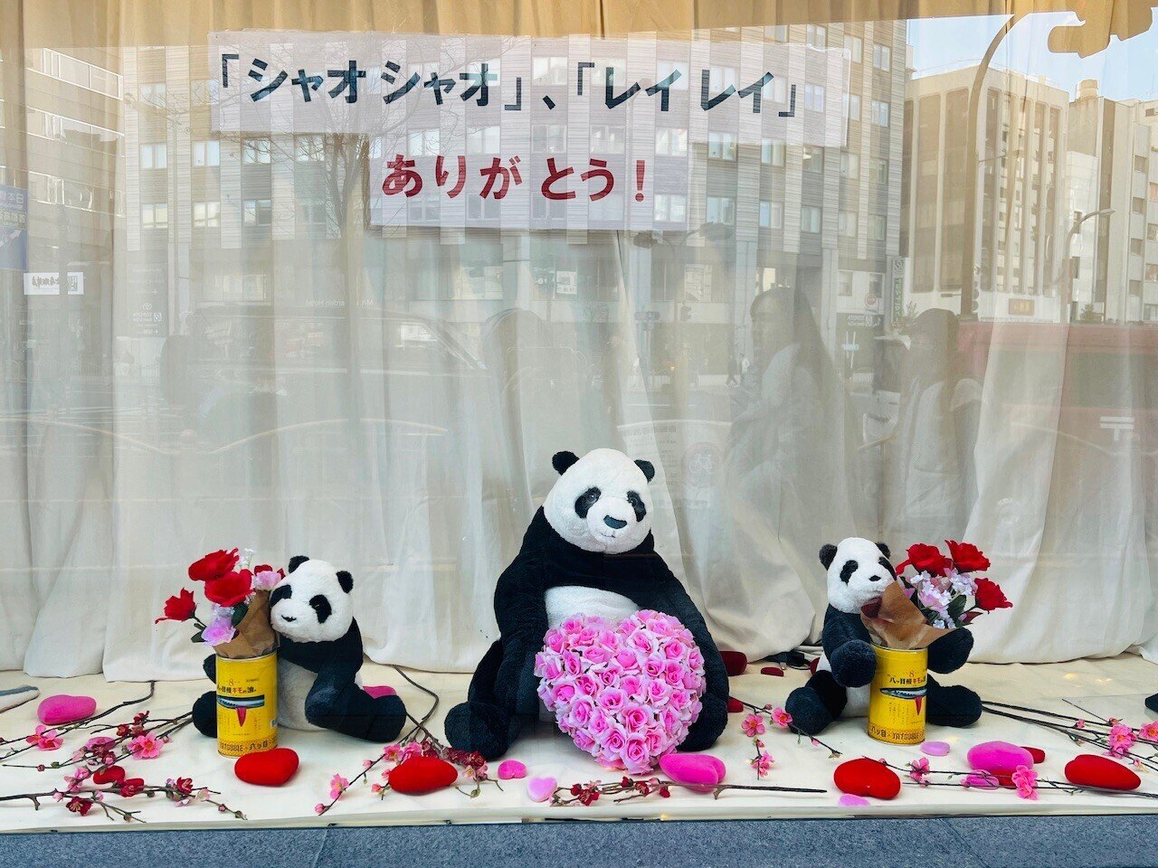 シャオシャオ・レイレイ🐼🐼さようなら｜ミント