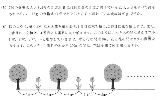渋谷教育学園渋谷の帰国枠算数解説 2024年度過去問｜いえてぃ