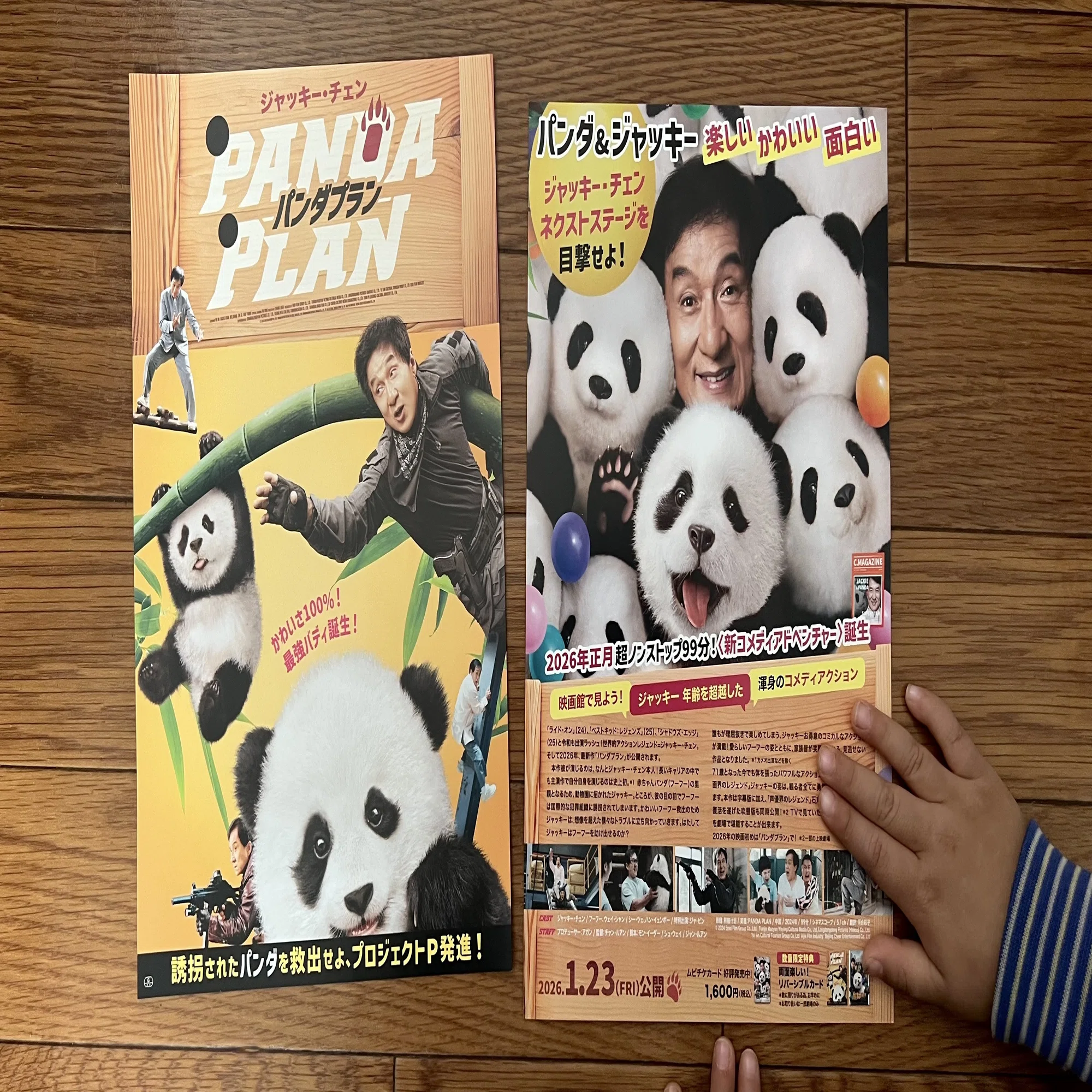 25 『パンダプラン』Review｜ジャッキー・チェン流、平和への処方箋 