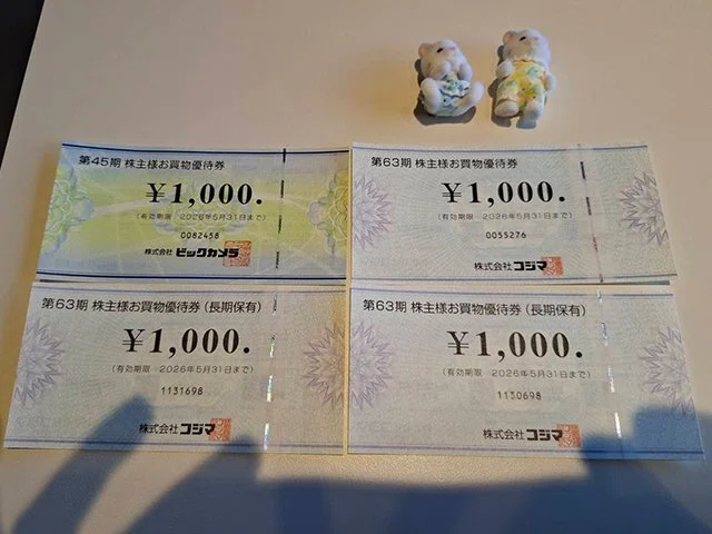 ビックカメラ × コジマの優待二刀流！家電もおもちゃもお得に！節約術