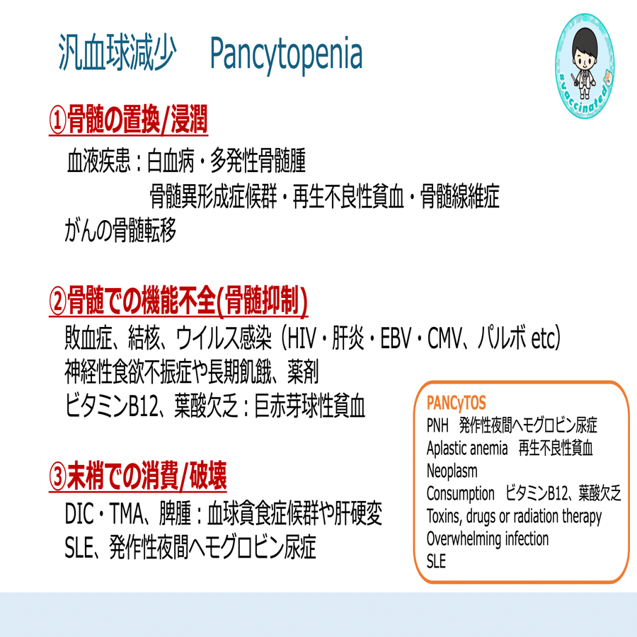 出血傾向｜Dr.Shiero