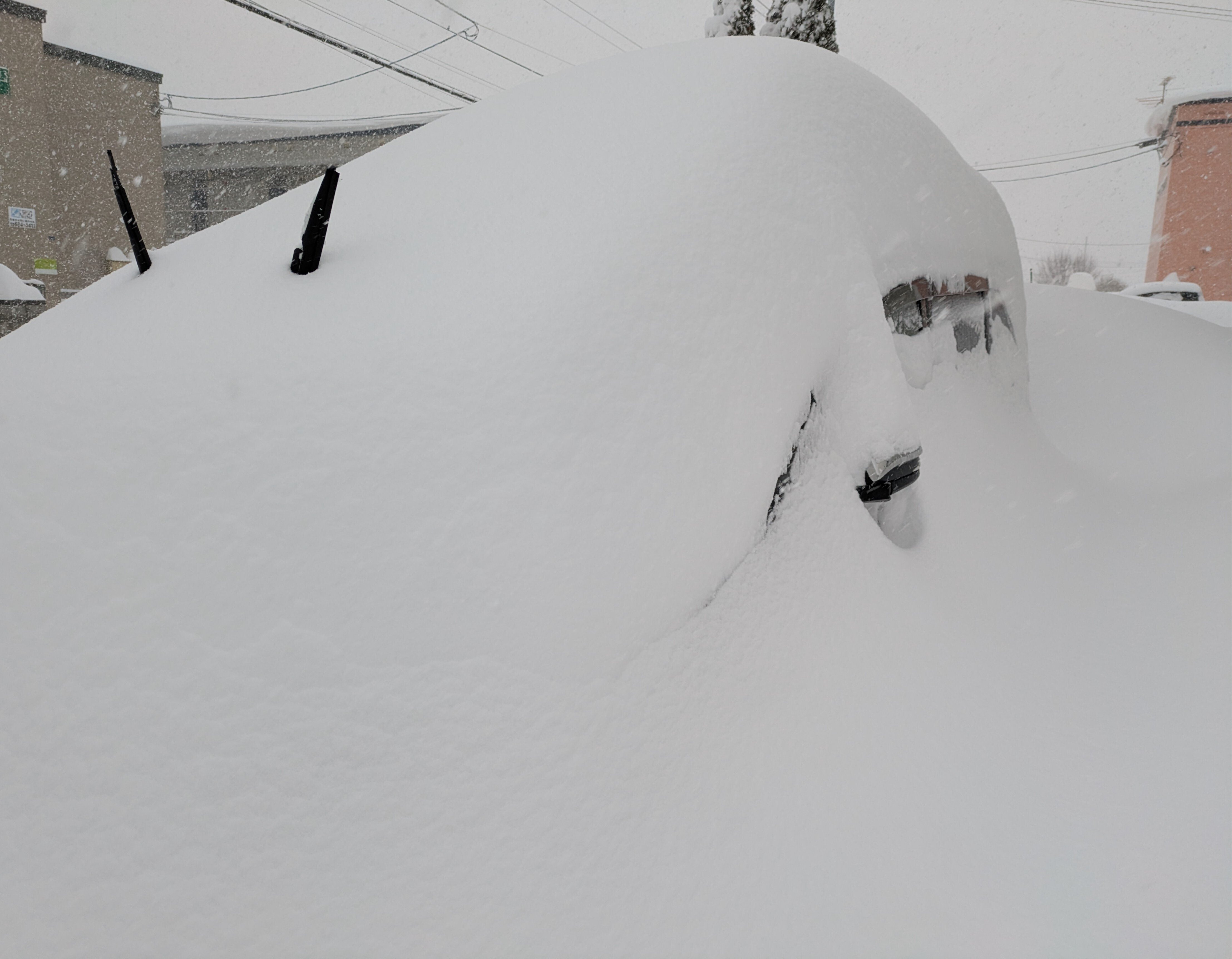 ドカ雪2026｜Deep Space