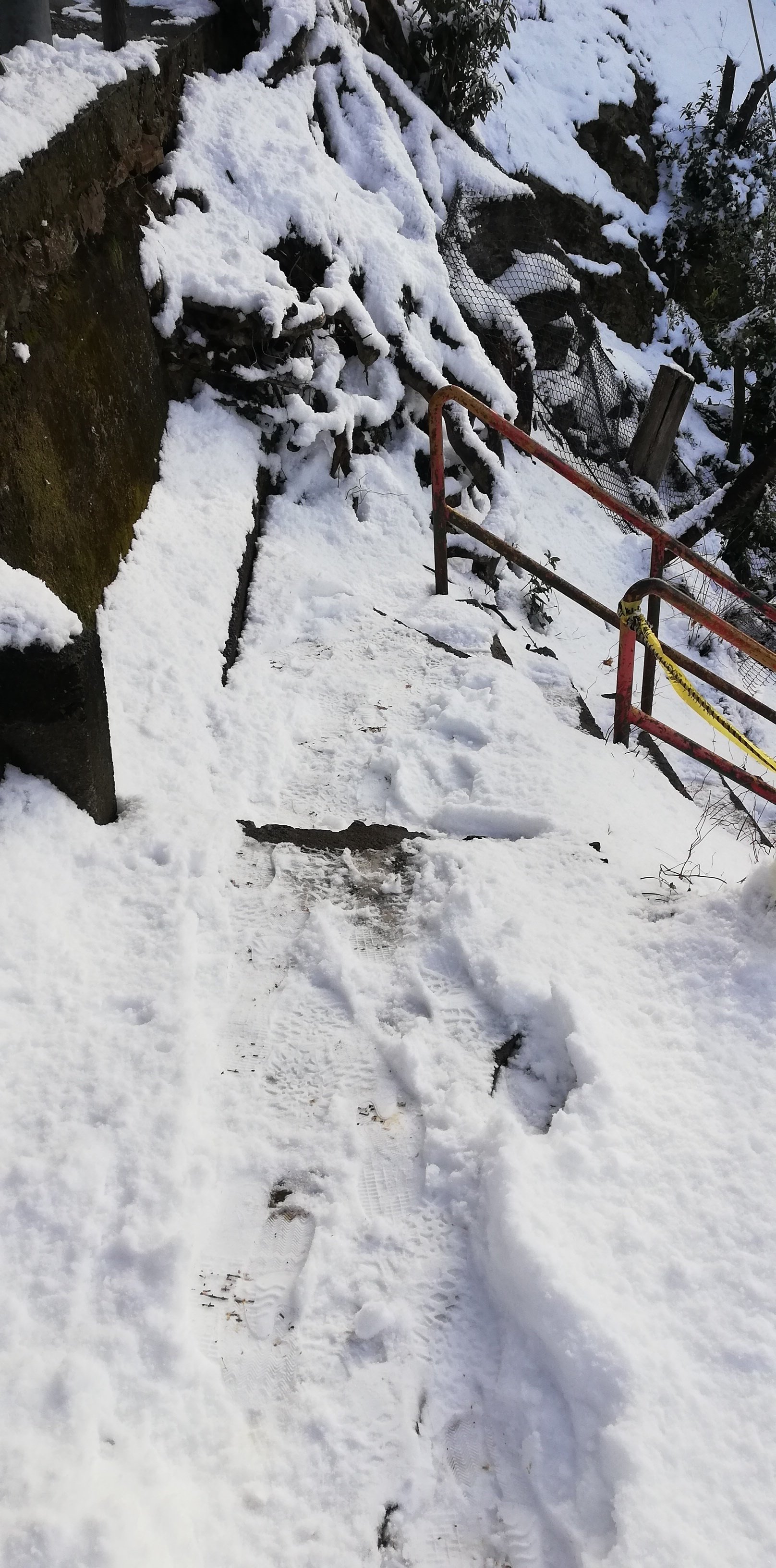雪の日の金華山を今年もあじわう 2026冬｜すすむ