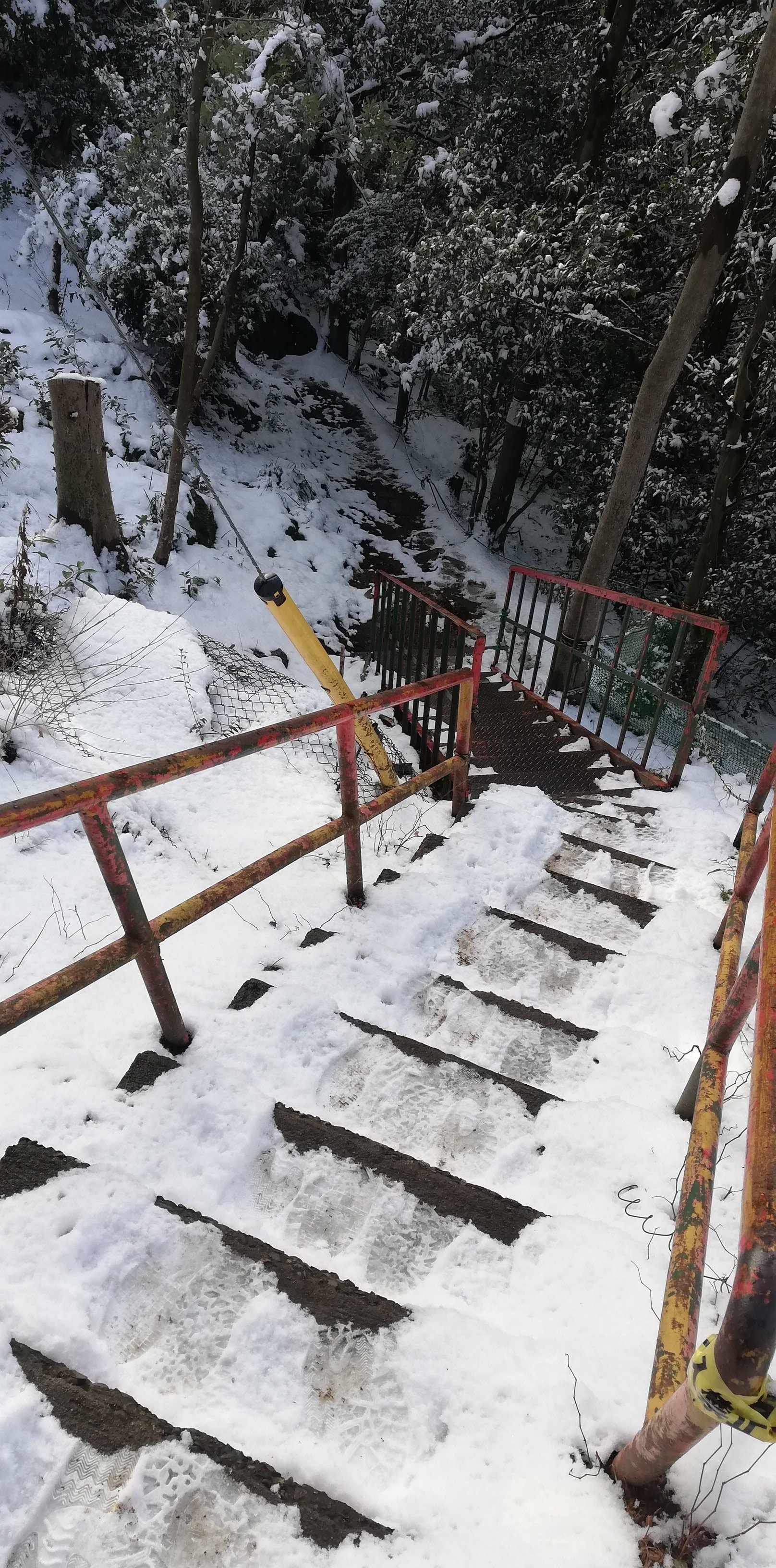 雪の日の金華山を今年もあじわう 2026冬｜すすむ