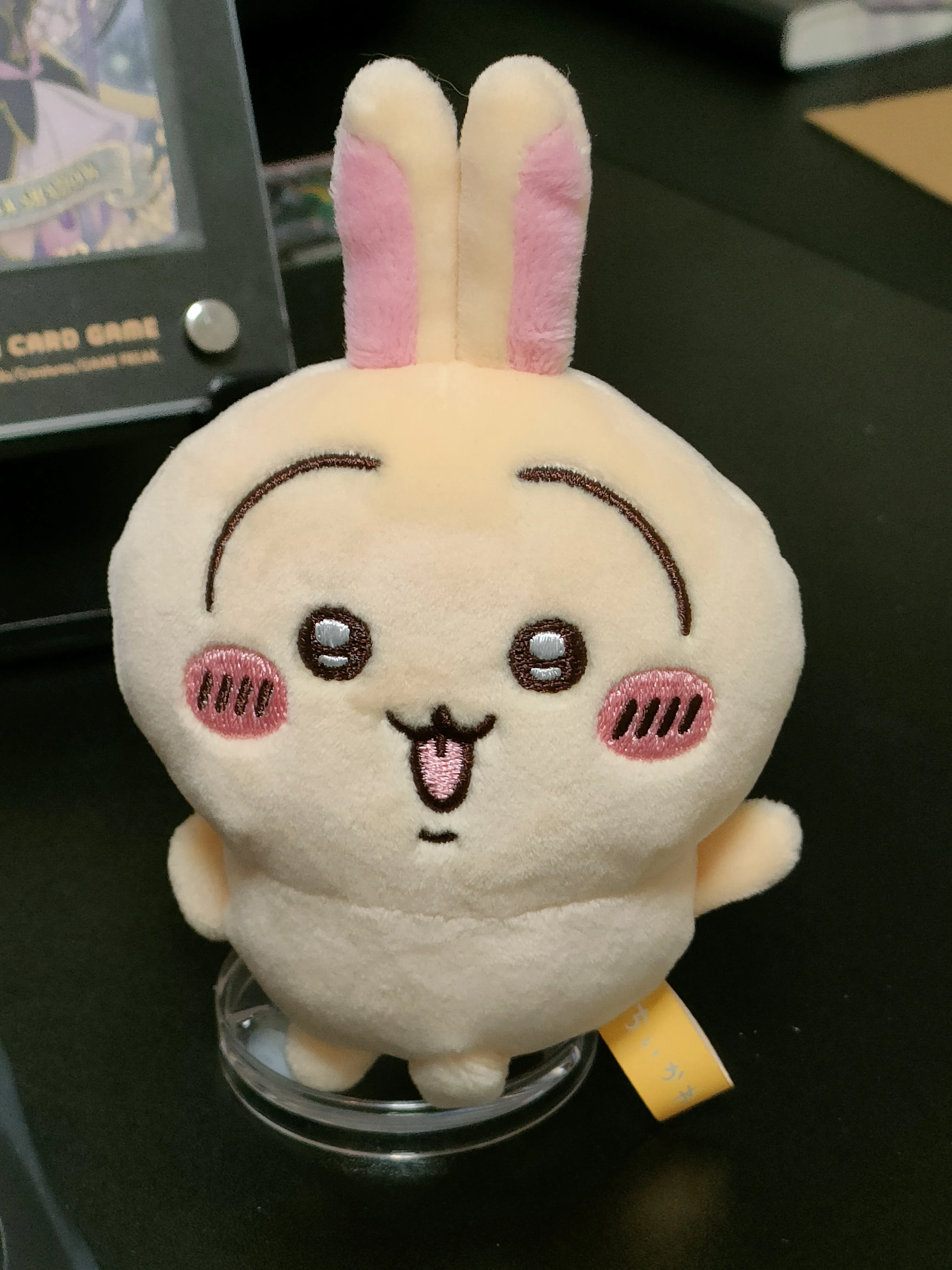 ここ最近購入した物 2026/1/25｜ねこゆう