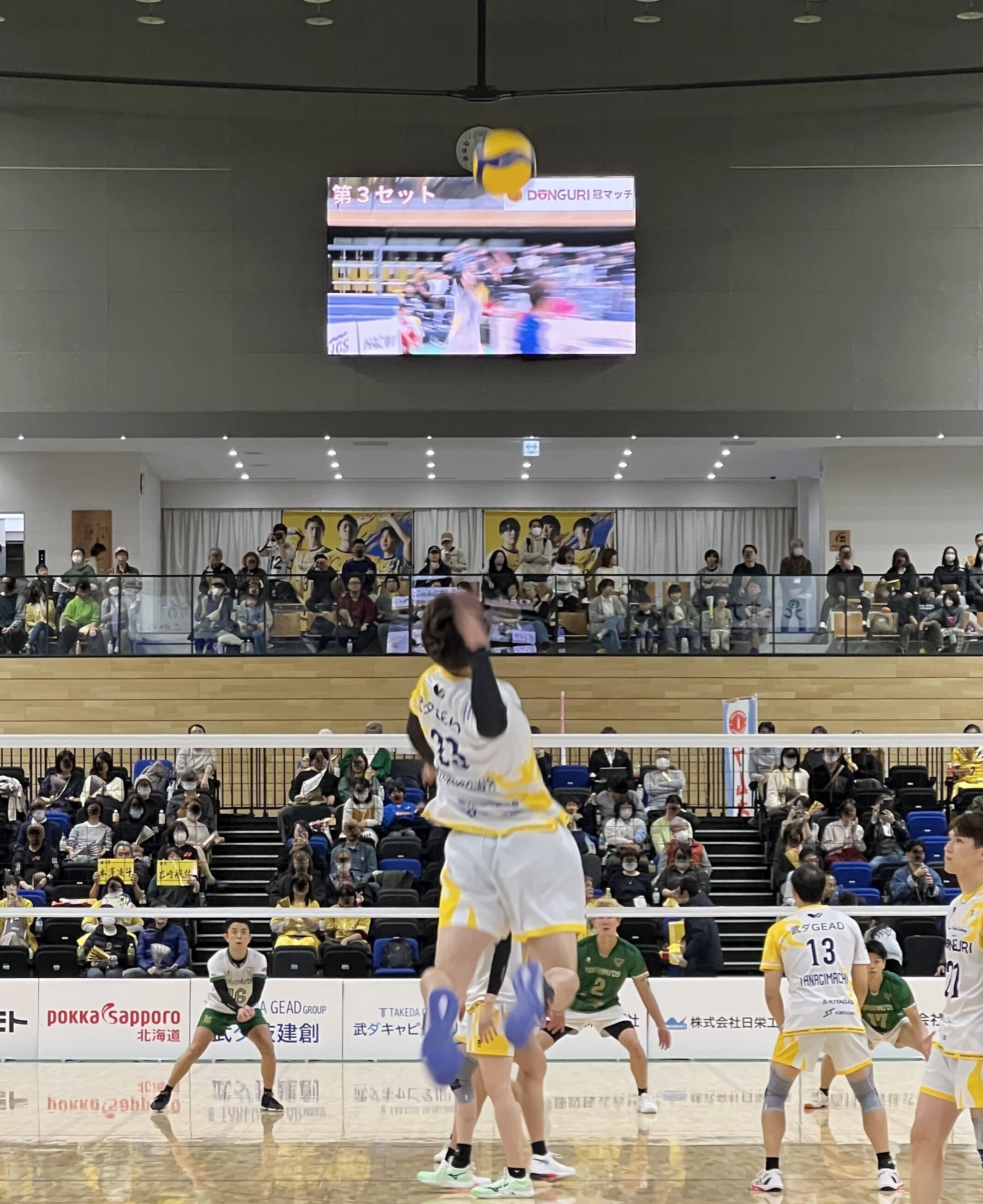 コンササポ、バレーボールのイエロースターズにハマる｜miuka