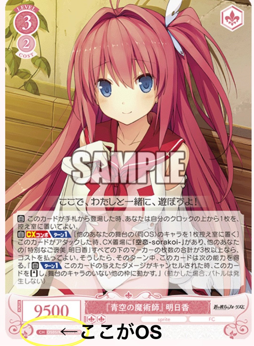 WSロゼ 始めよう！｜テラ