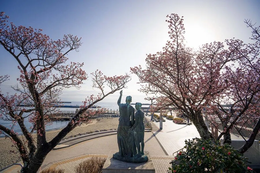 今年は開花が早いぞ、あたみ桜 | α7V + SIGMA 20-200mm F3.5-6.3