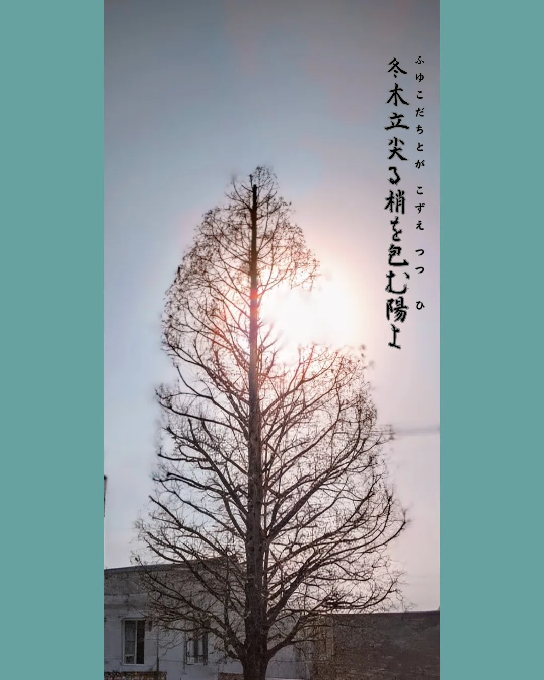 9.俳句 冬木立|山藍摺(やまあいずり)