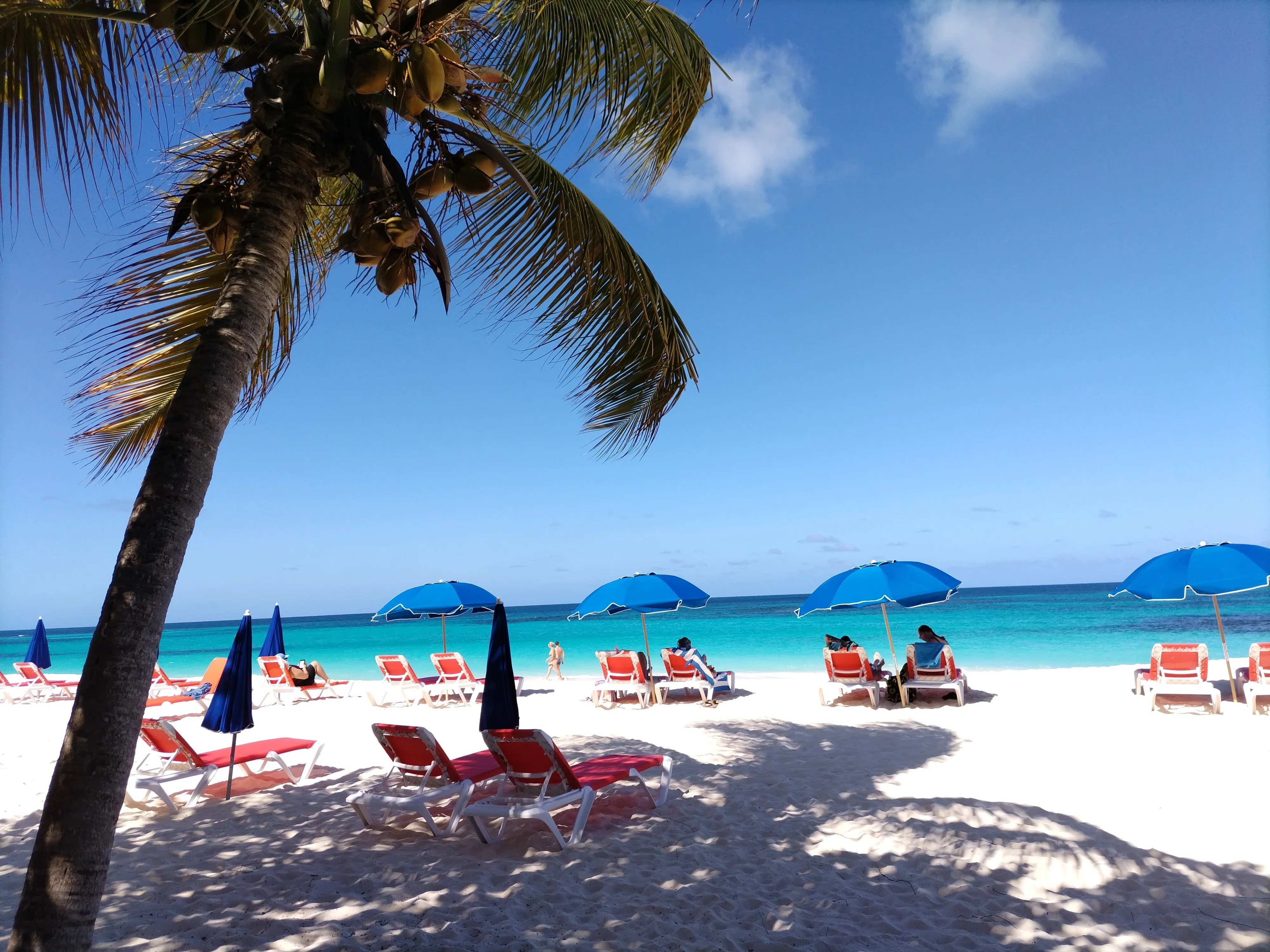 138〕カリブ海 6地域 (Caribbean 6 Areas)｜country hunter