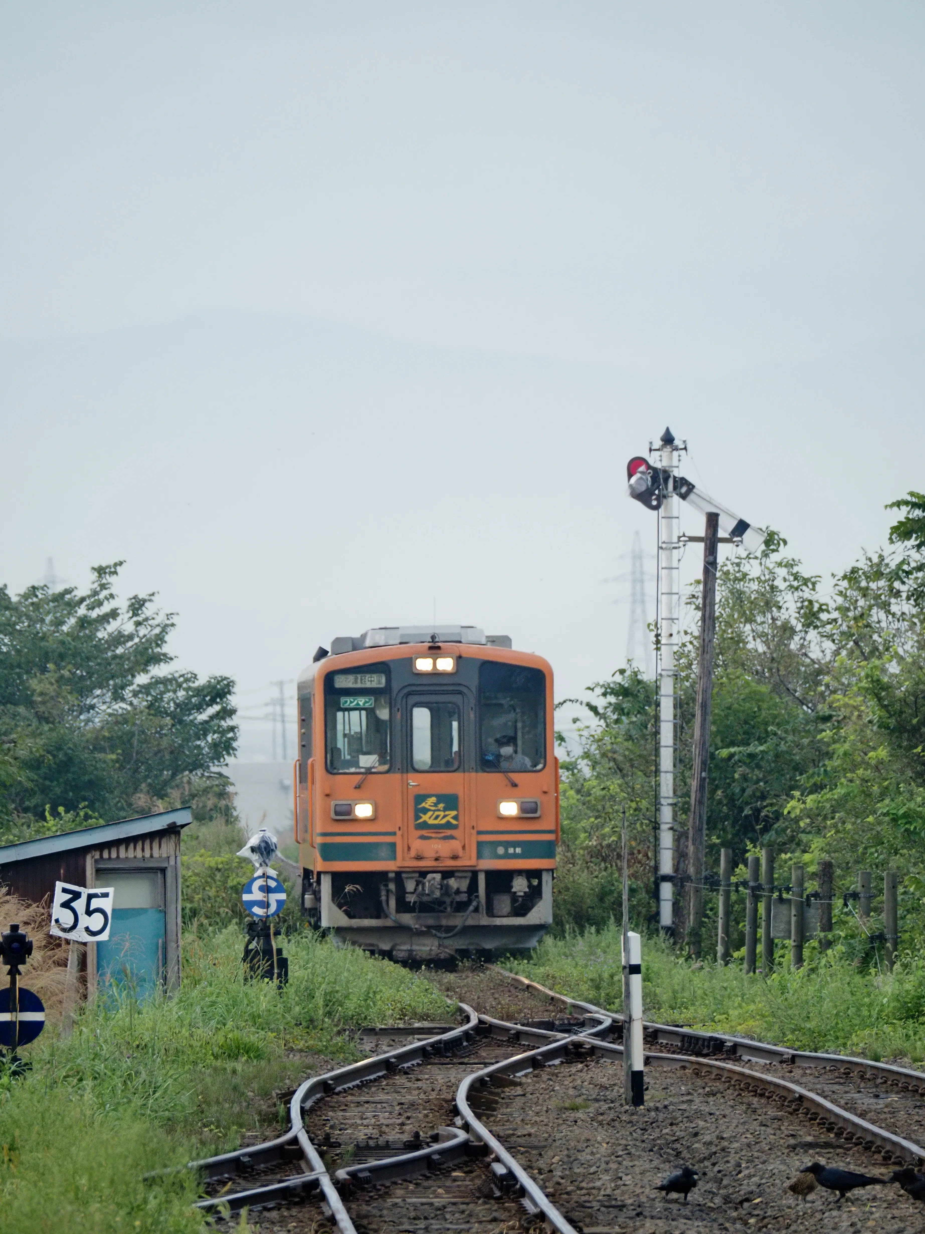 鉄道写真パネル 大岡裕之・心惹かれる津軽の地で｜OM SYSTEM RAIL
