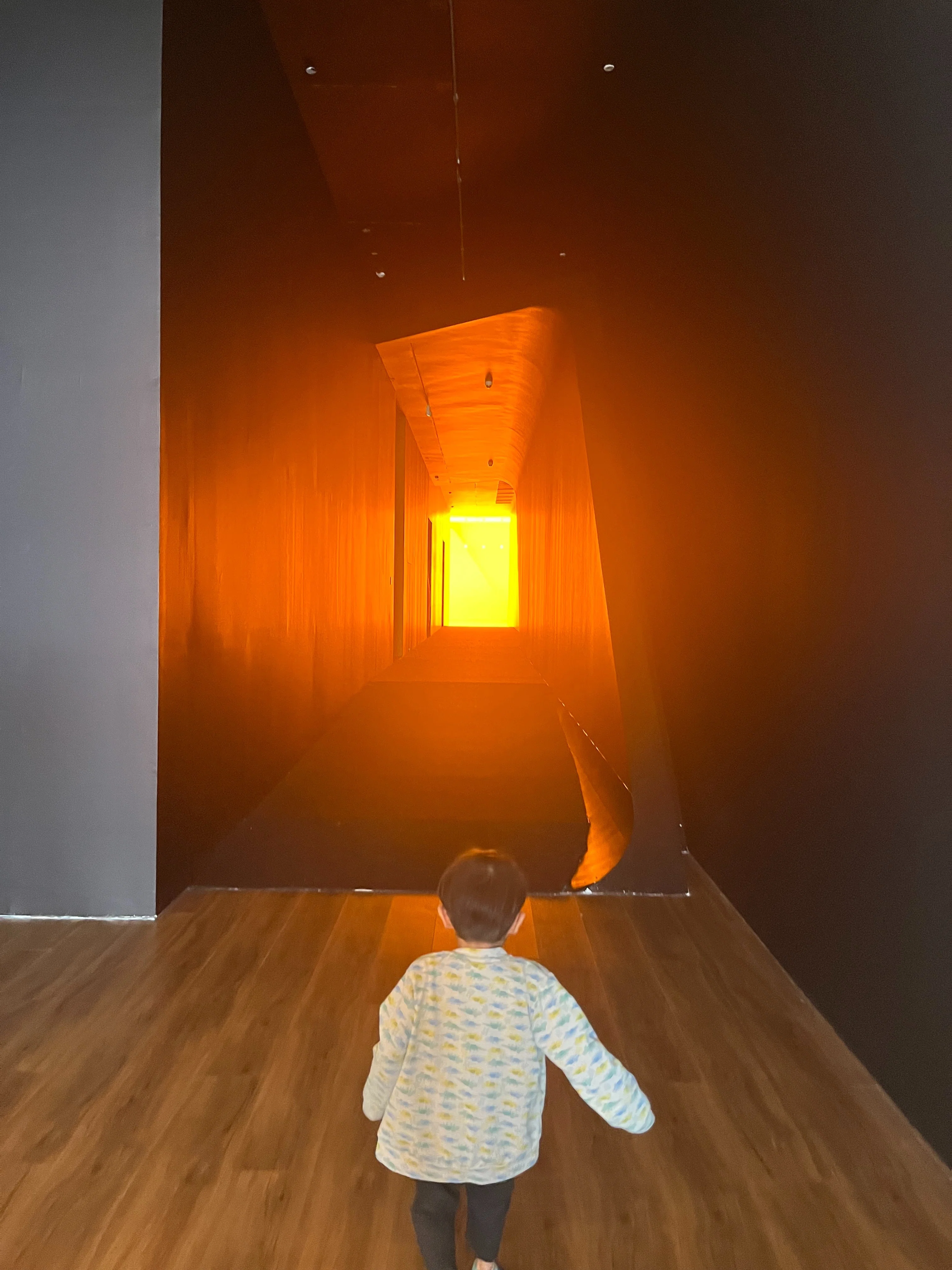 Jakarta art] : Olafur Eliason : Your Curious Journey｜mzk