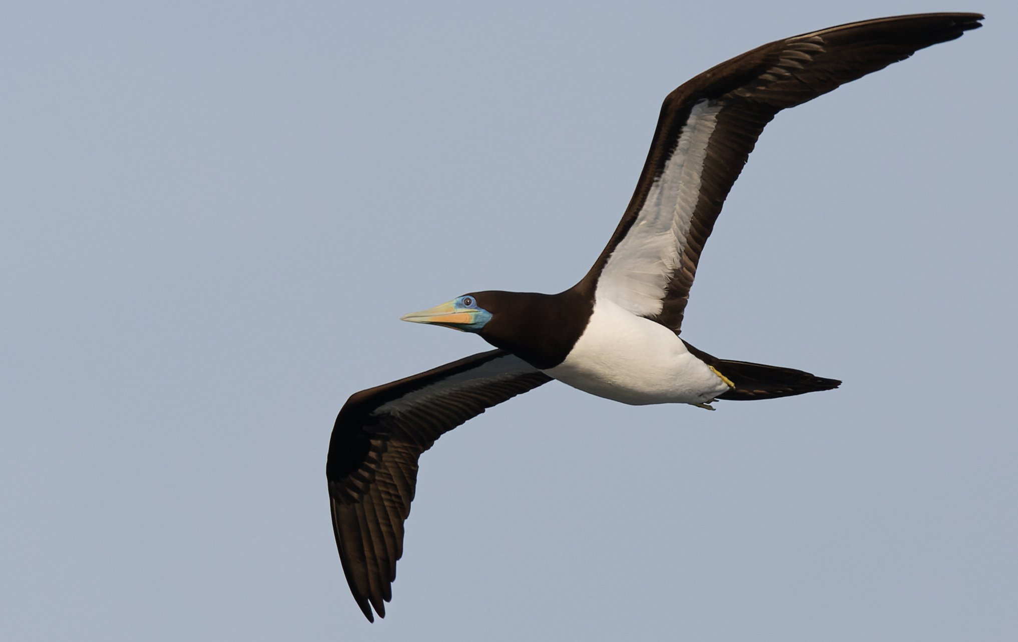 愛称板　鳥海 Facebook