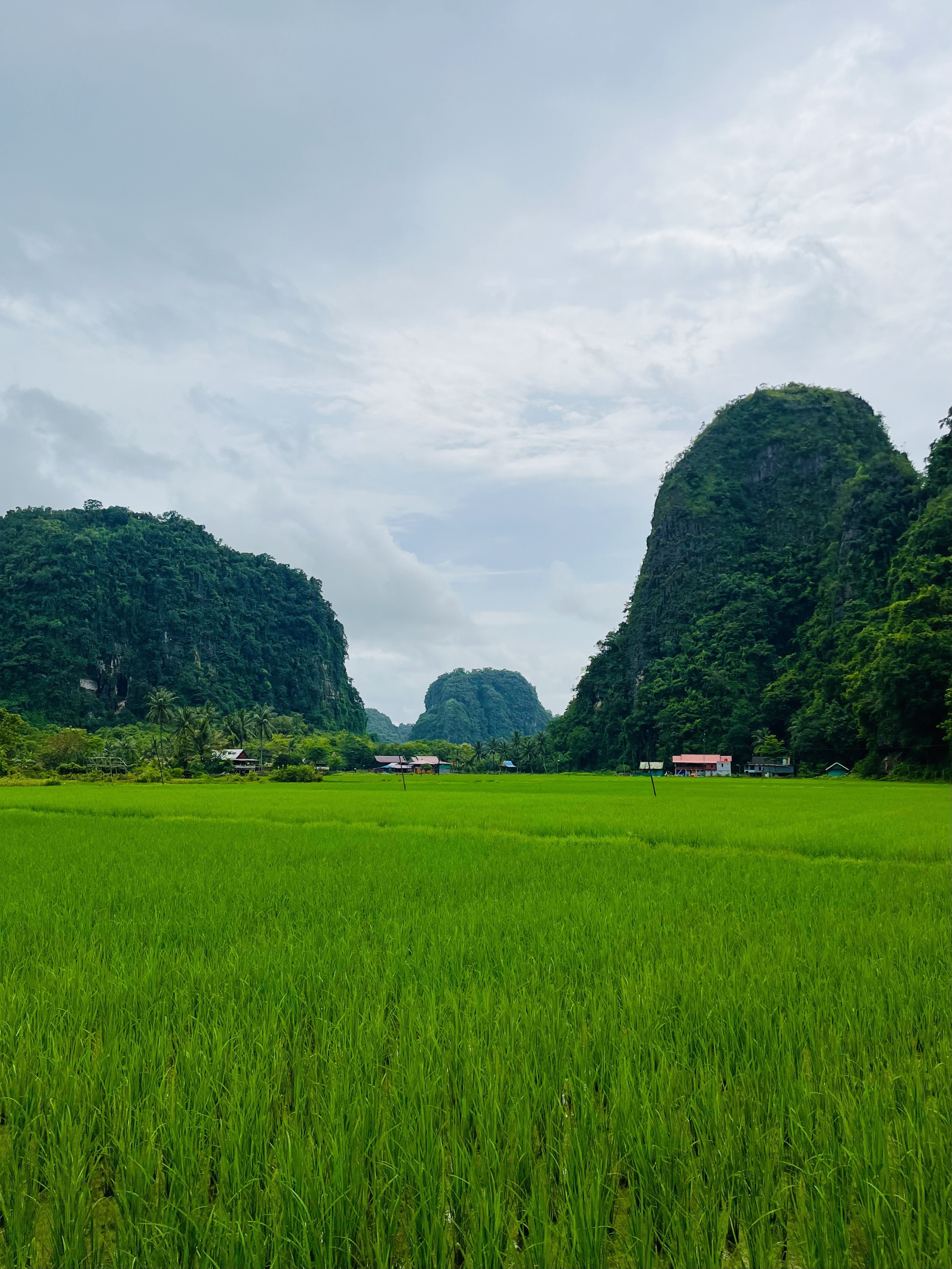 インドネシア島旅：南スラウェシ州マロスとマカッサル｜Linda Aoki