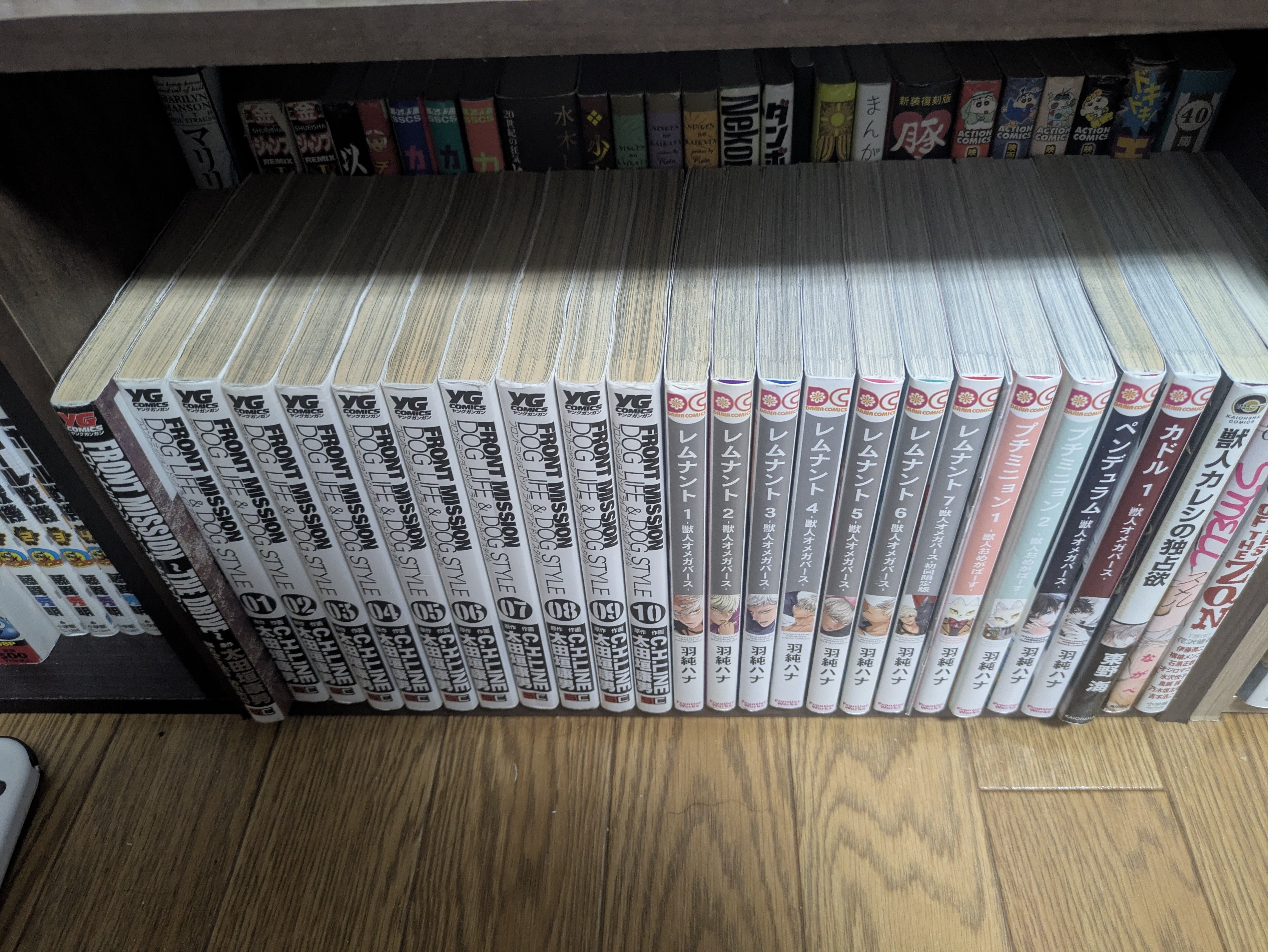 真面目な日記※あまり暗めではない｜光燕晴也