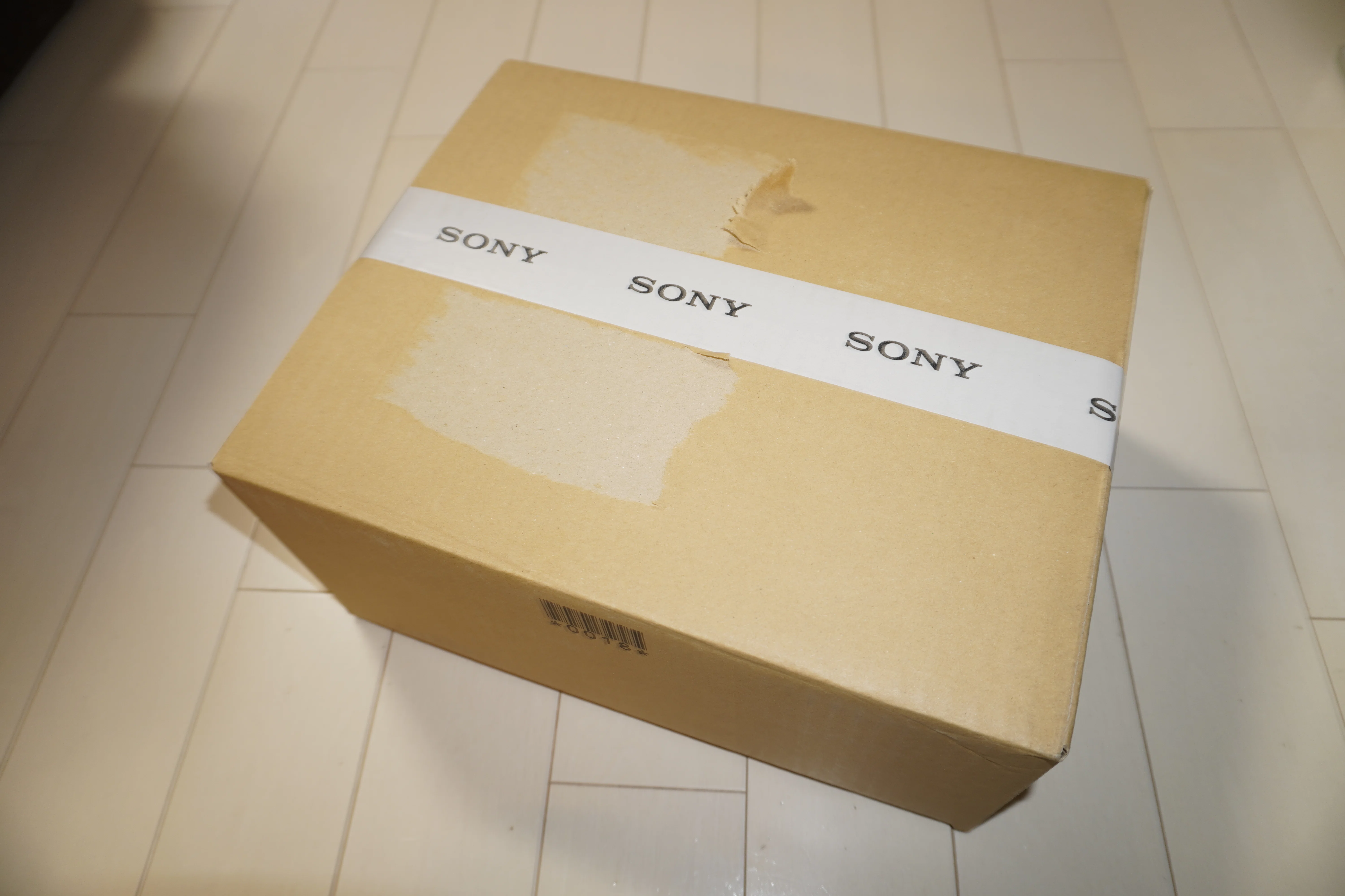 α7Ⅴとレンズを買った｜すばる【きまぐれがじぇぶろ】