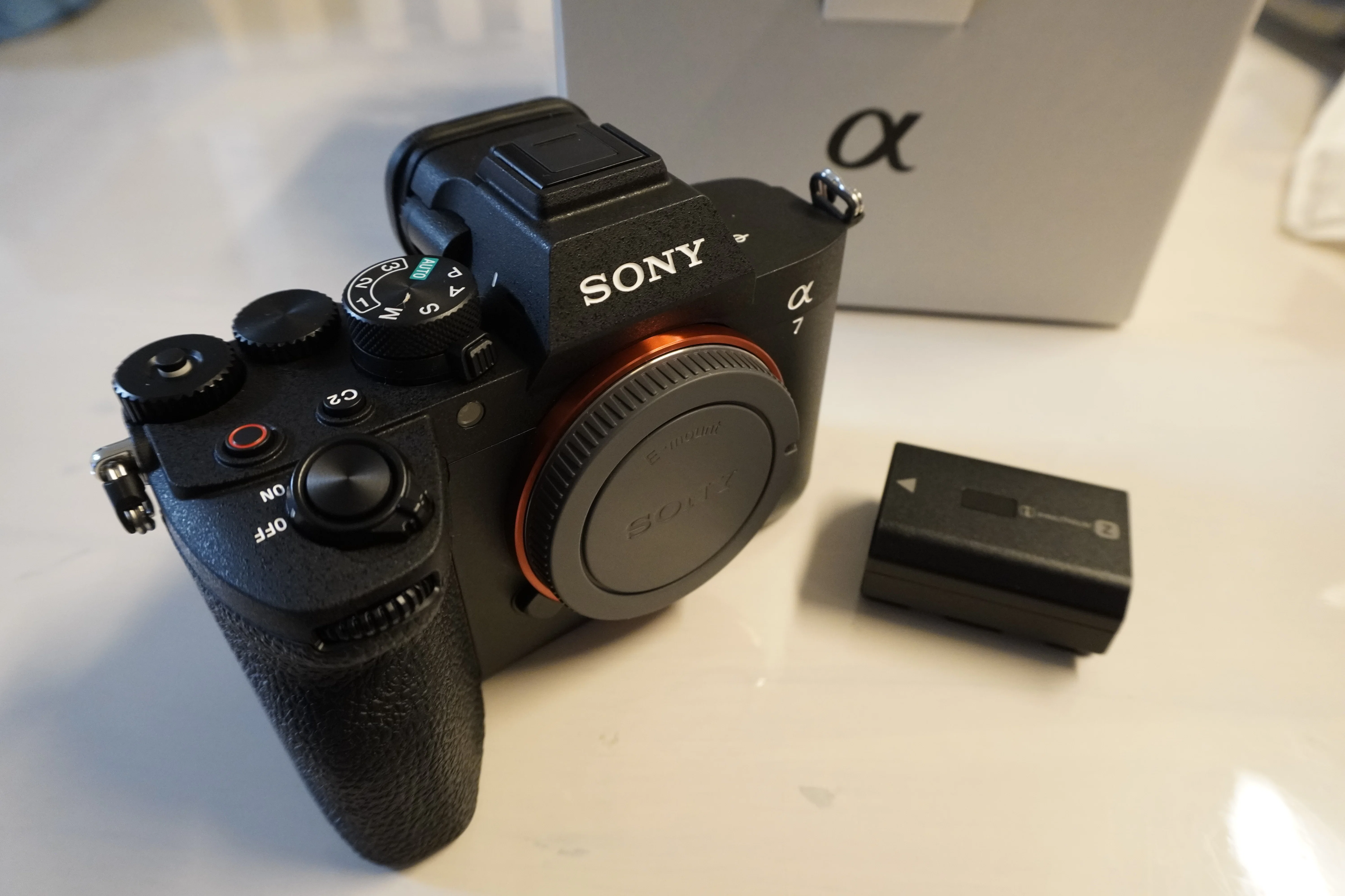 α7Ⅴとレンズを買った｜すばる【きまぐれがじぇぶろ】