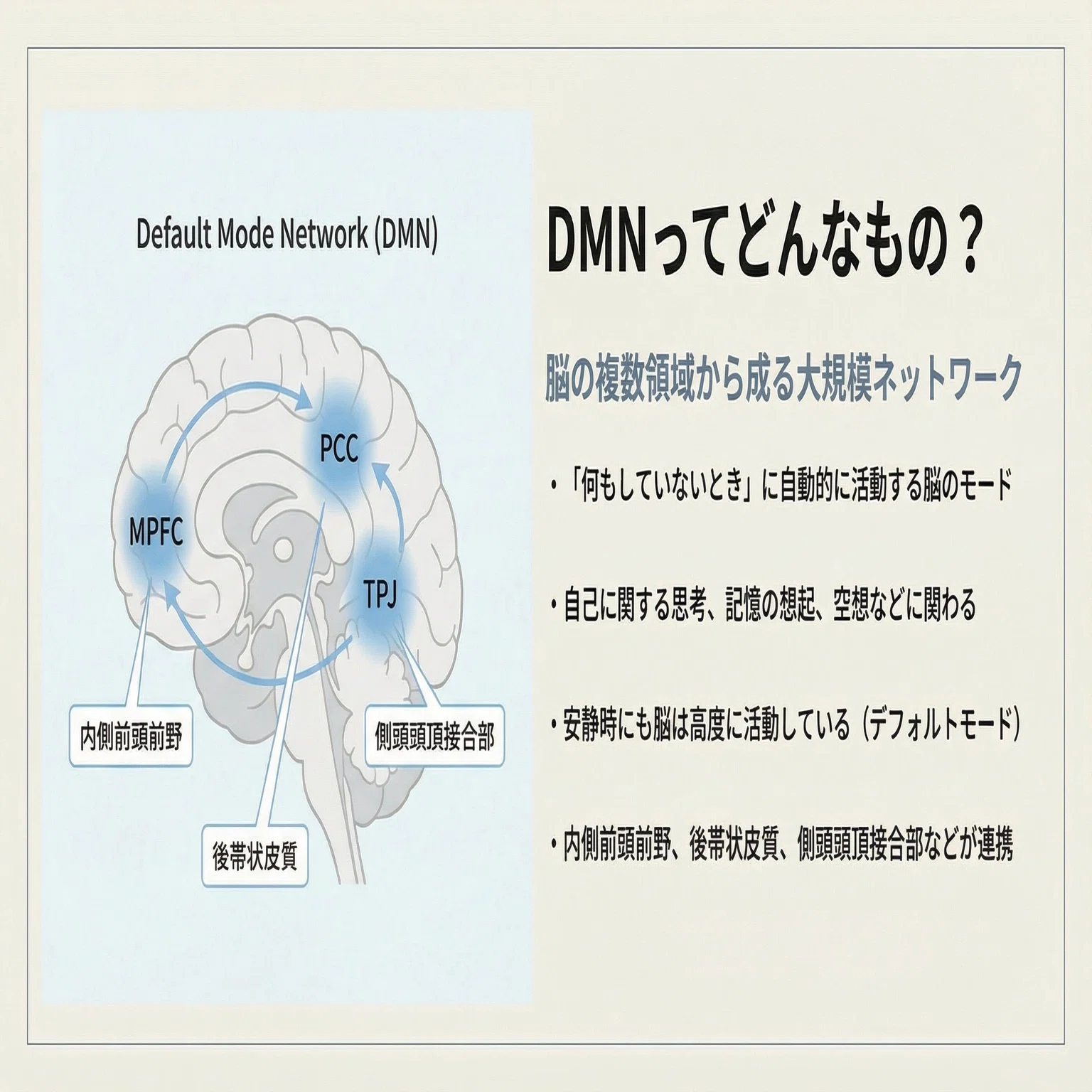 デフォルトモードネットワーク（DMN）とは？ 〜心がさまよう脳の 