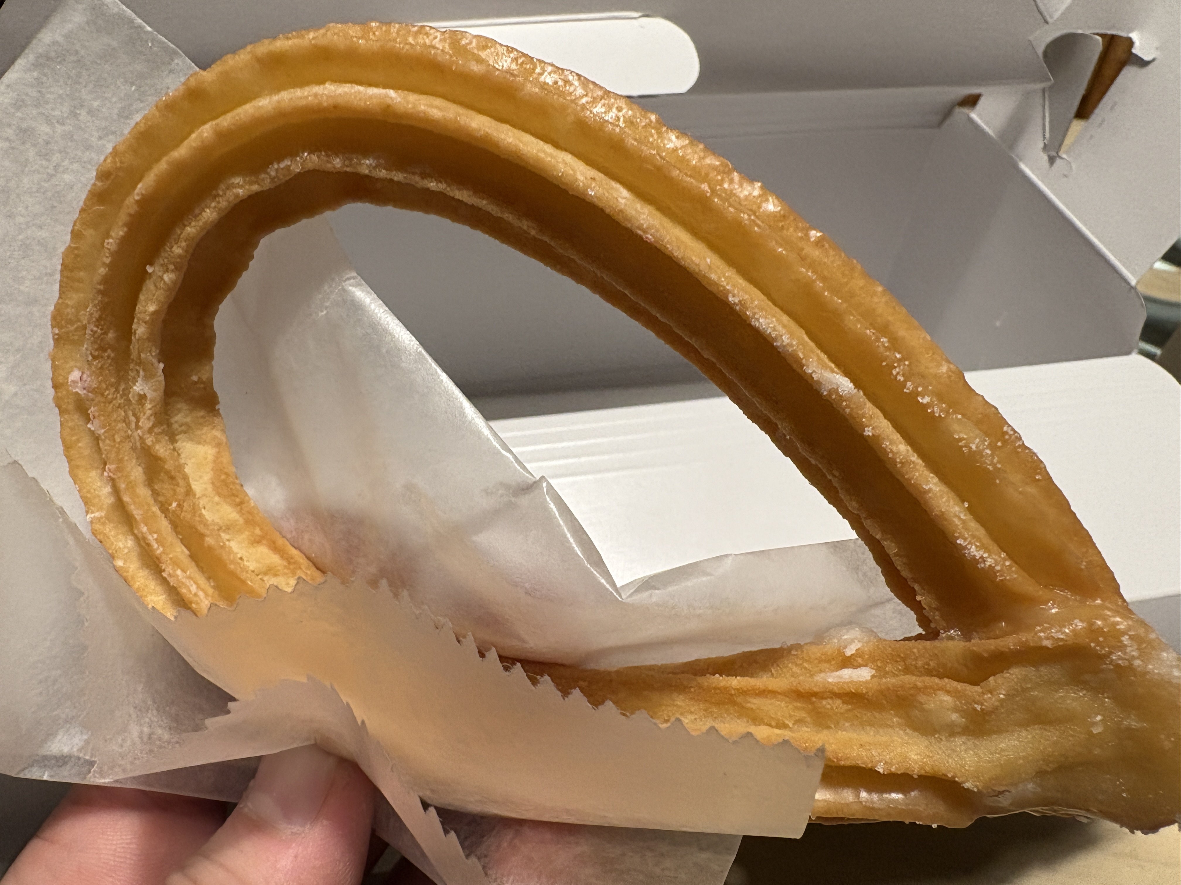 ミスタードーナツ(2026.1.26)｜NAKADA Shugo