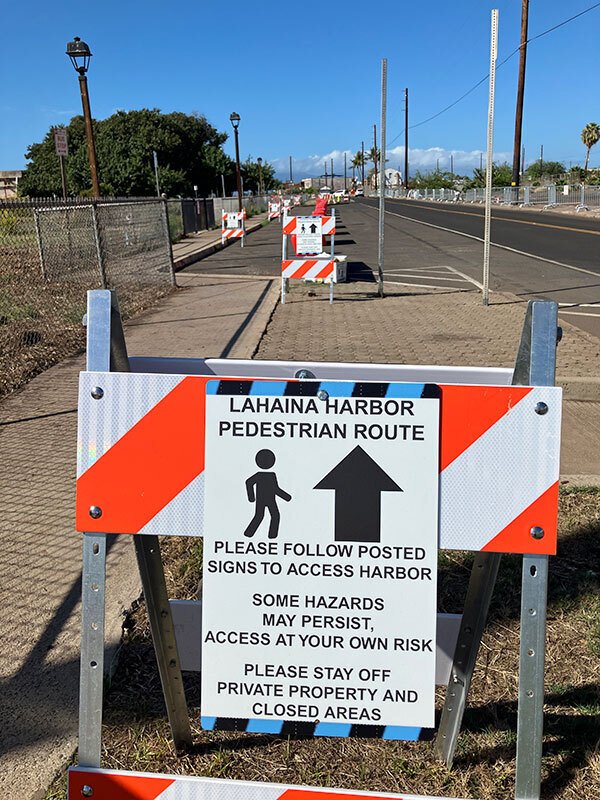 ラハイナ」の今 （2026年1月）｜Lonesome Cowboy