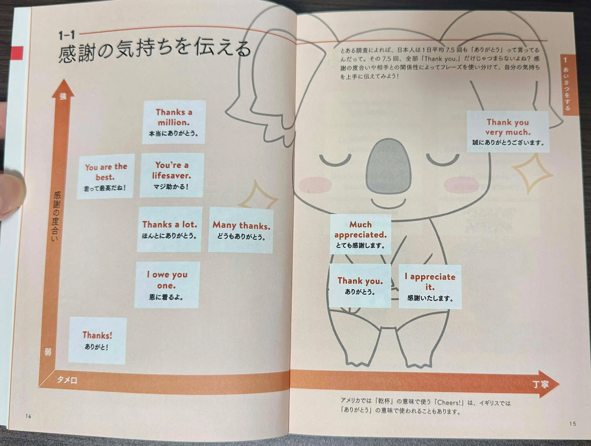 113万円の決断】2026年最新版!ディズニー英語システム(DWE)の値段は 113万円の決断】2026年最新版!ディズニー英語システム(DWE)の値段は