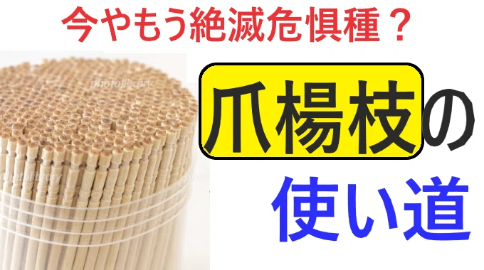 爪楊枝の使い道｜節約ありま