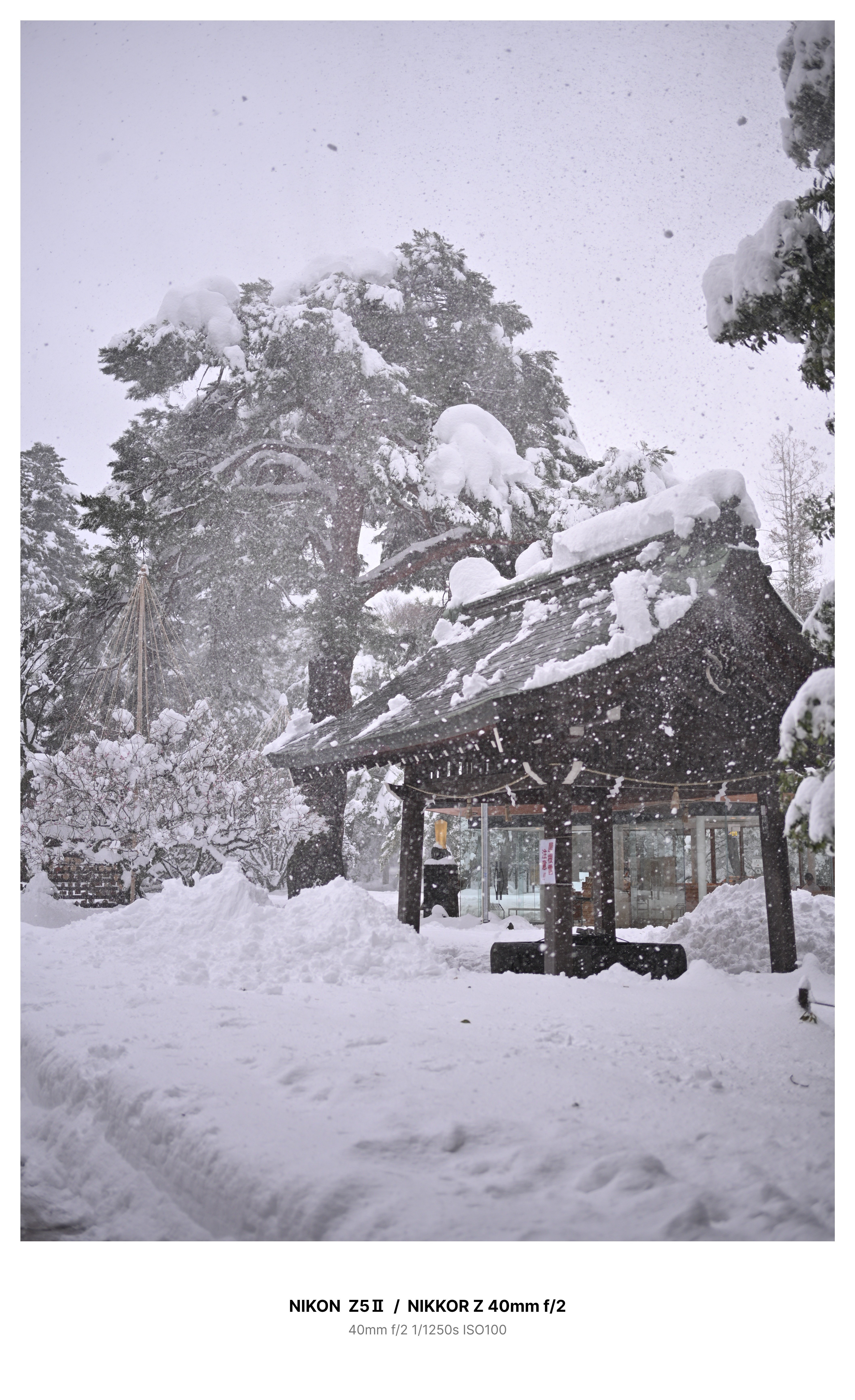 大雪の金沢・尾山神社でスナップ Z5Ⅱ｜kenken