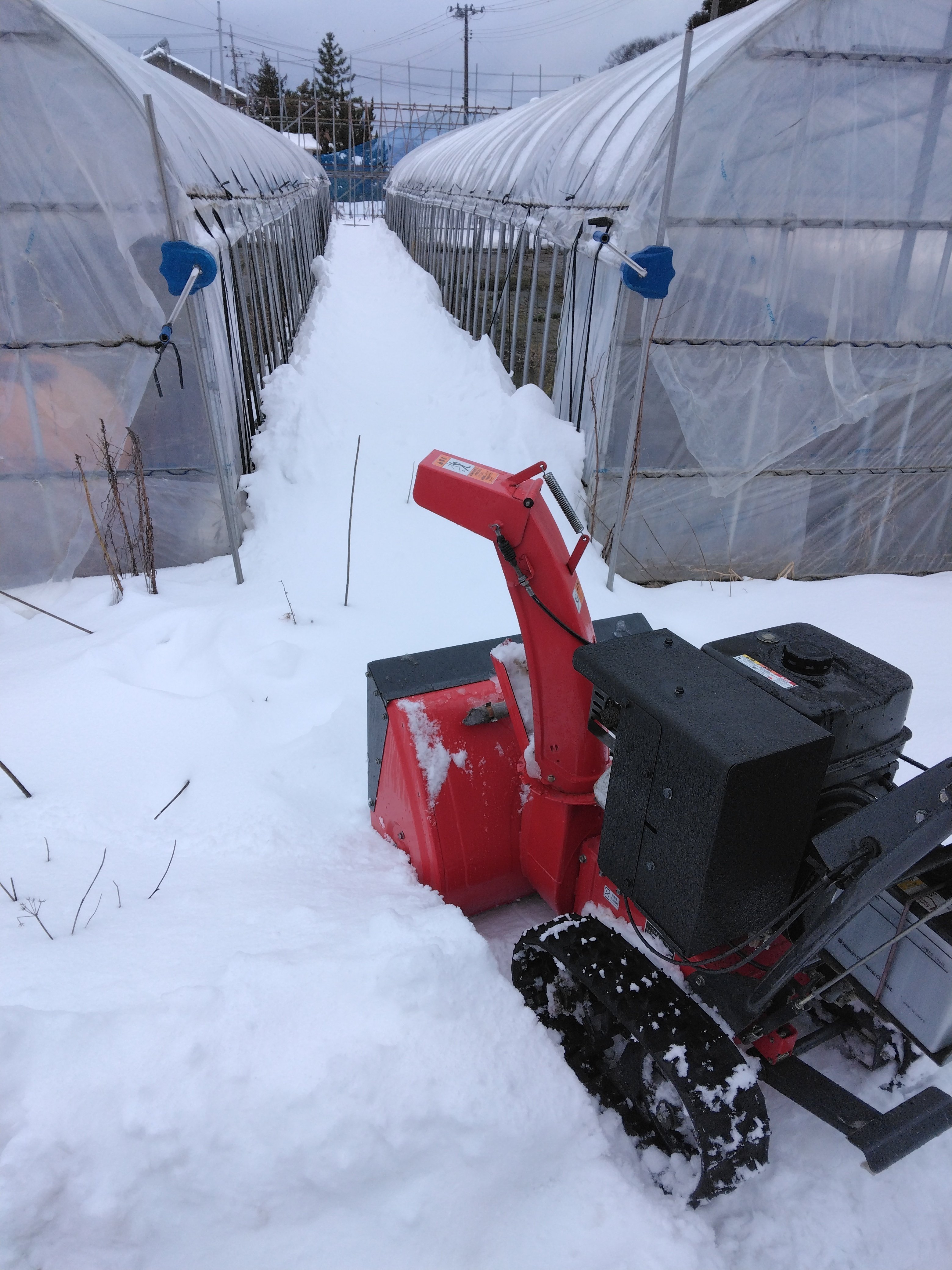除雪機出動！｜まごころ村 おむすびマン（お米農家）