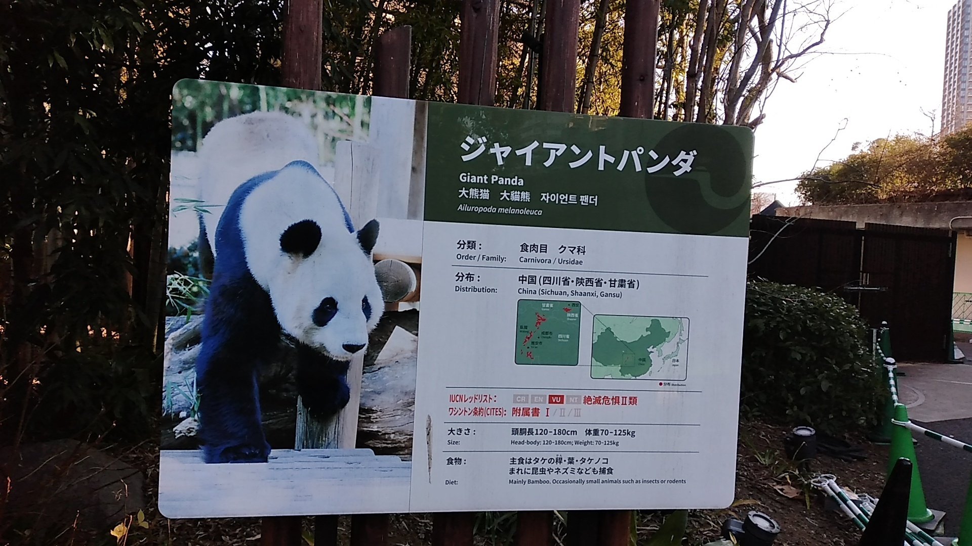シャオシャオ レイレイ ありがとう🐼🐼🌿🧡｜canal
