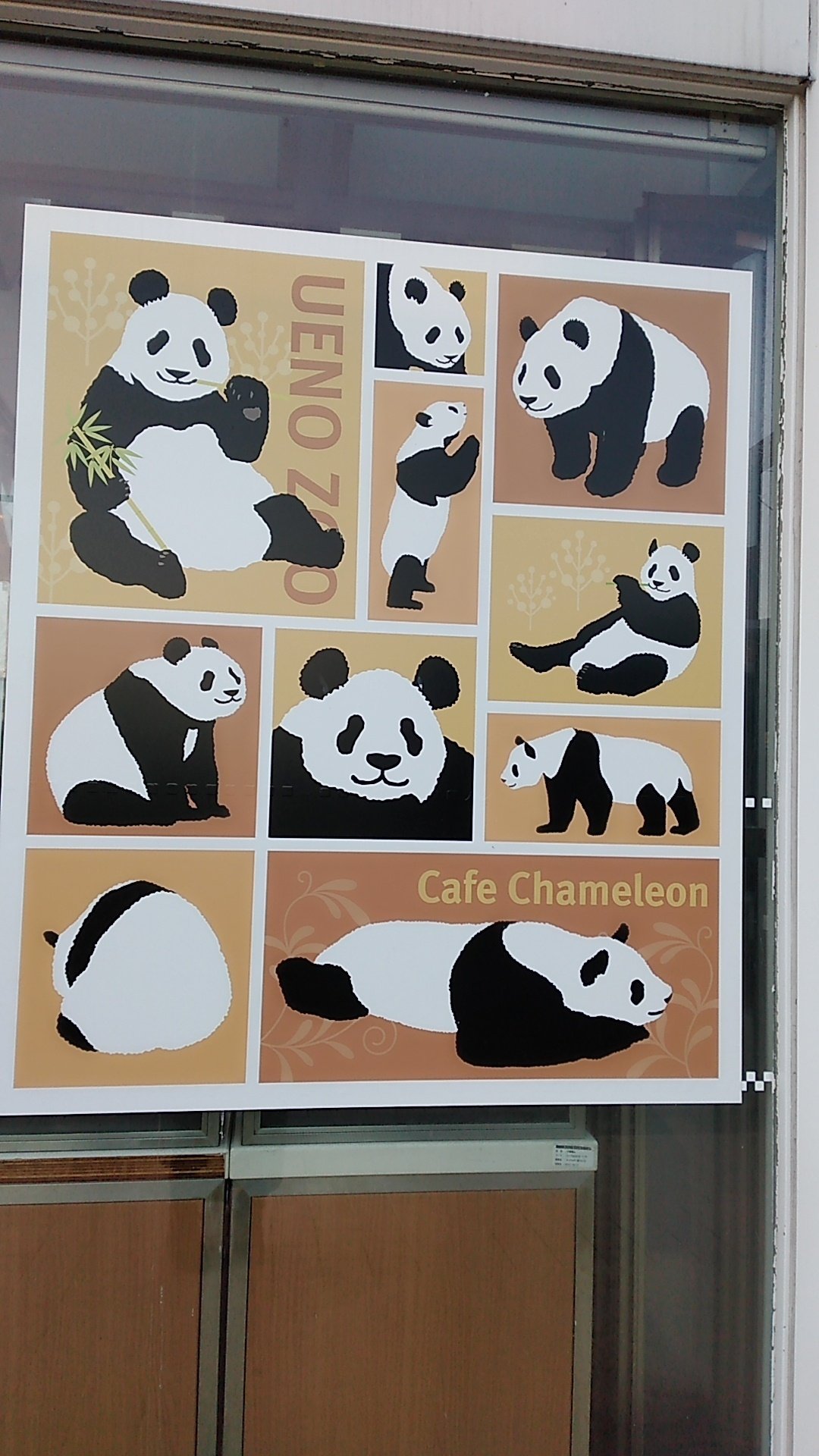 シャオシャオ レイレイ ありがとう🐼🐼🌿🧡｜canal