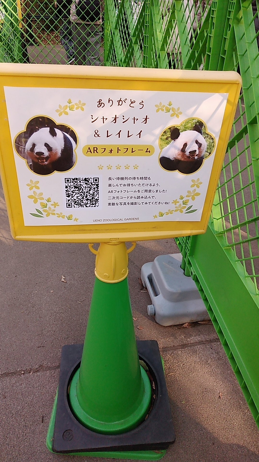 シャオシャオ レイレイ ありがとう🐼🐼🌿🧡｜canal