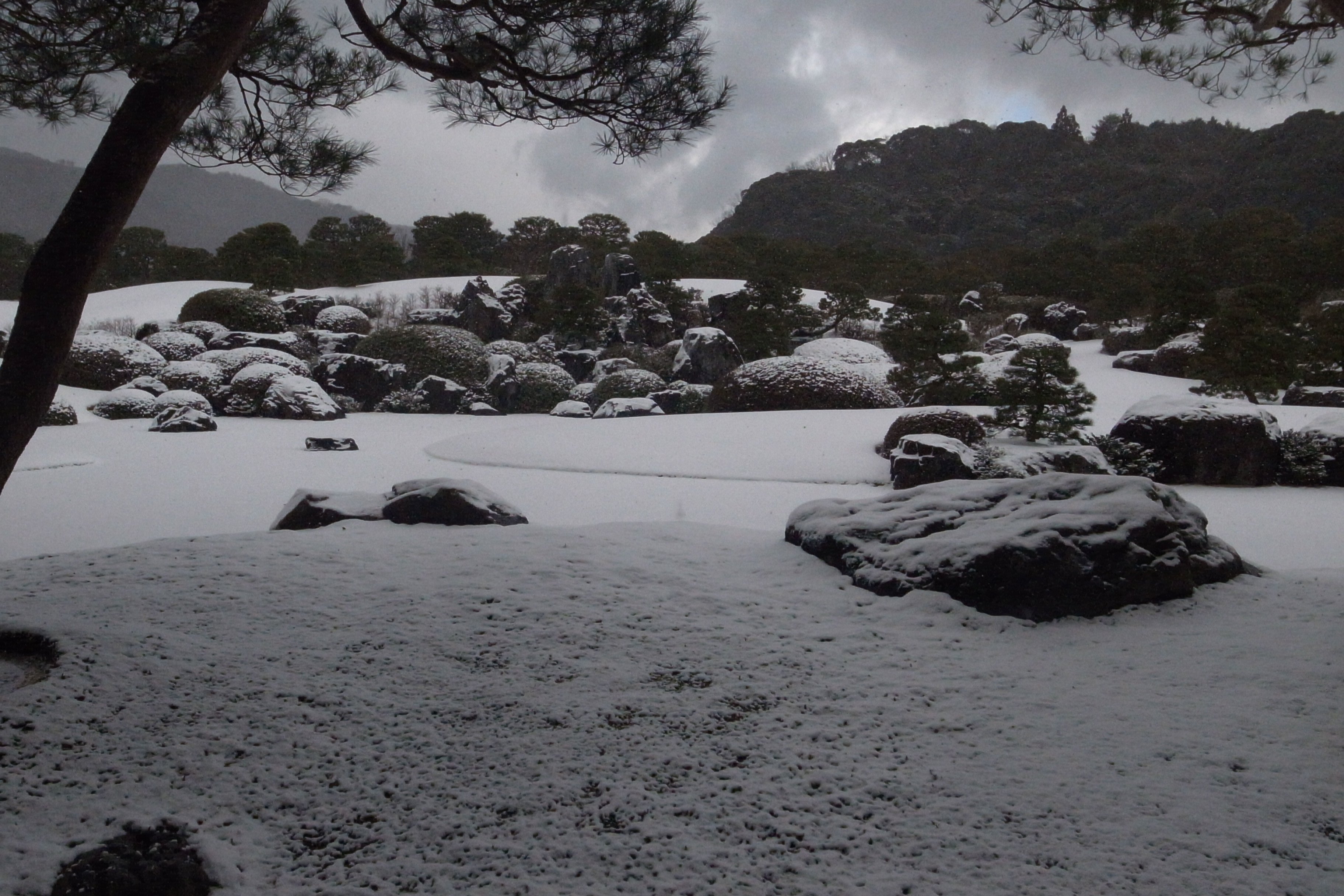 冬の島根の旅 足立美術館｜文旦