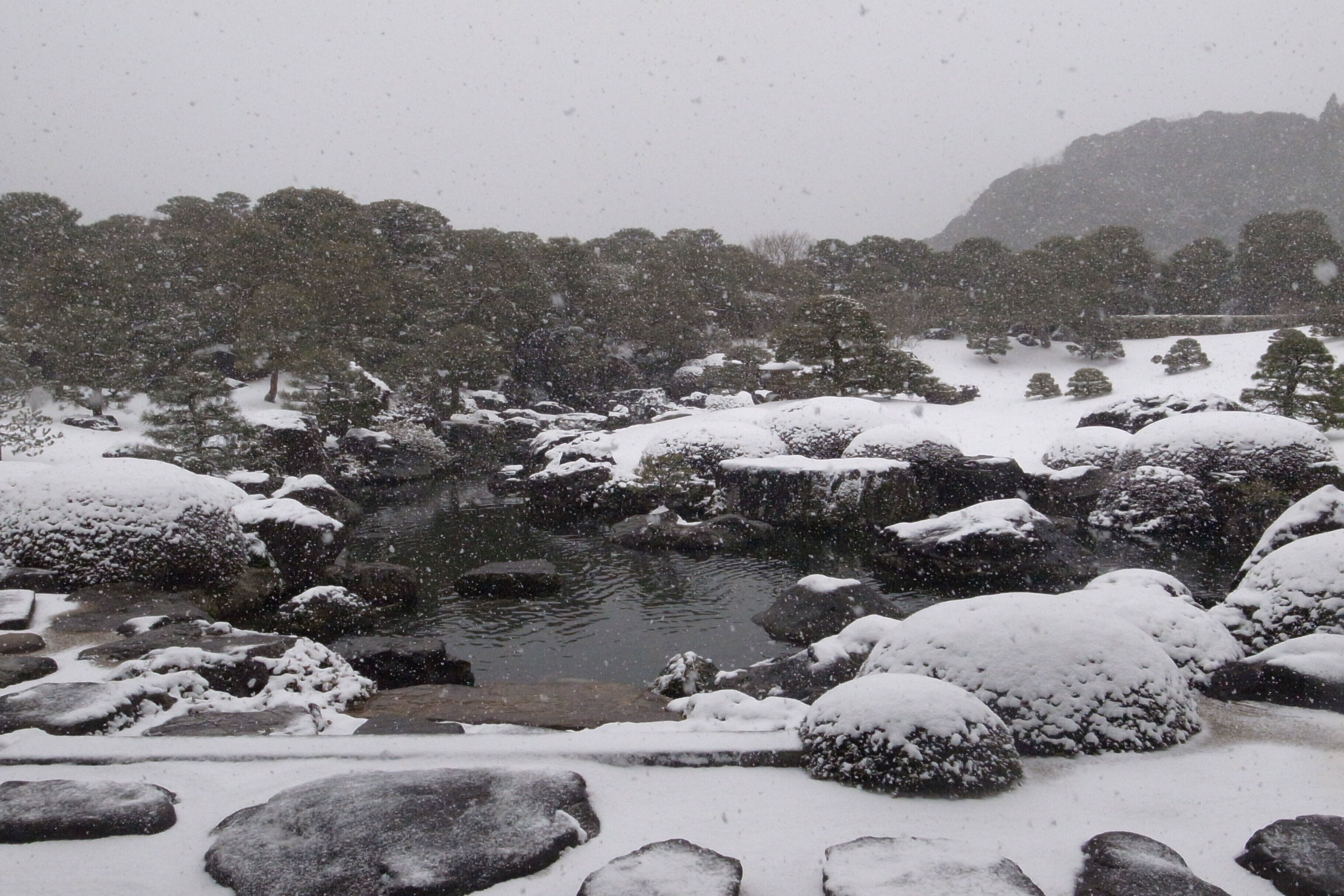 冬の島根の旅 足立美術館｜文旦