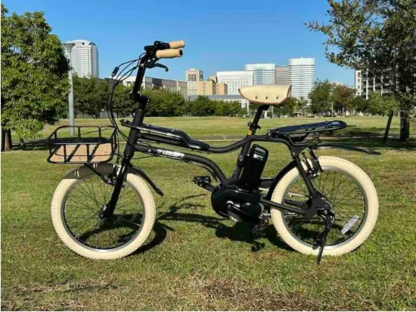 カスタム自転車の「パナソニックEZ」をECで購入したのでレビューする