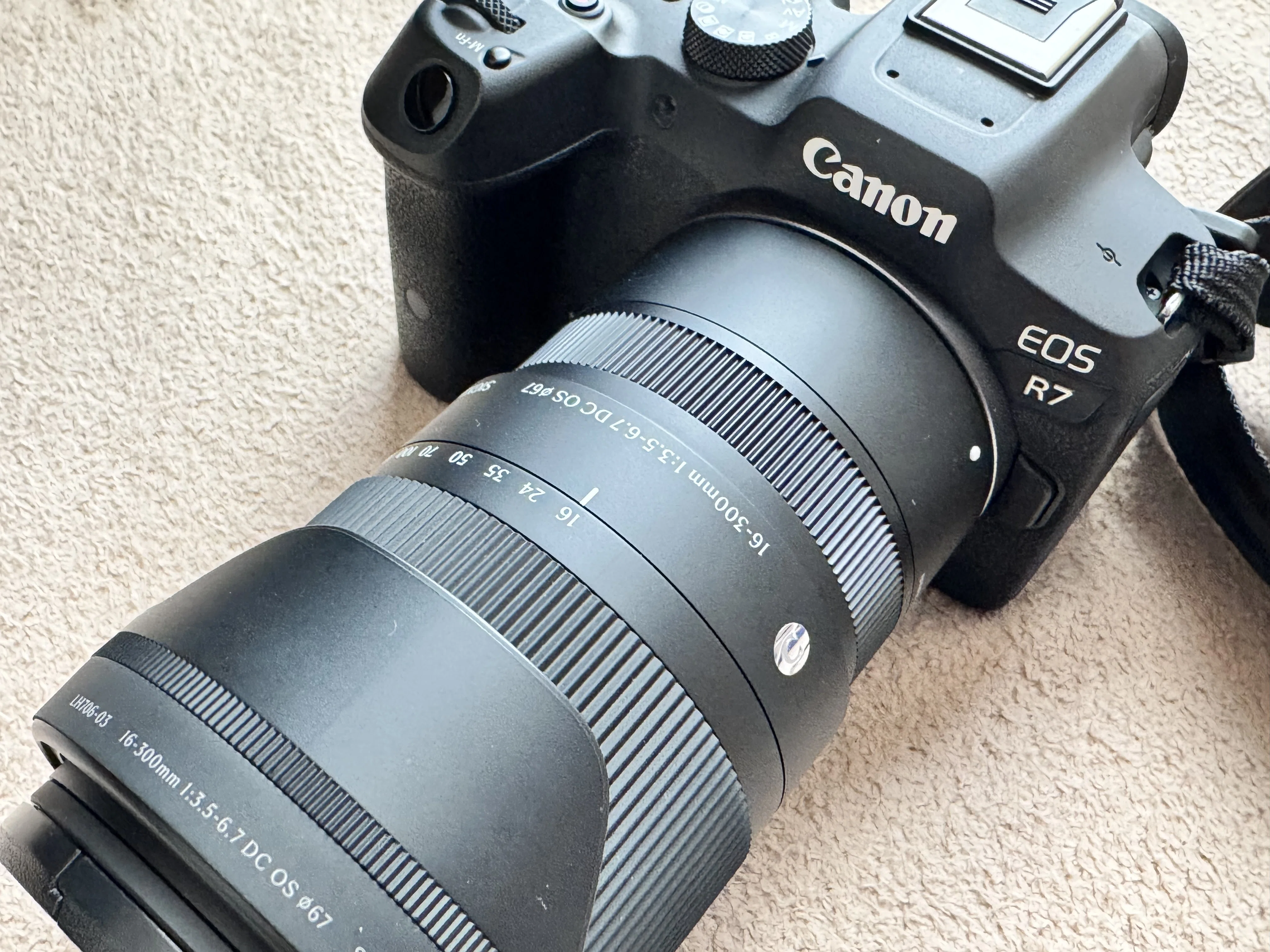 EOS R7 + SIGMA 16-300mm F3.5-6.7 DC OSのレビュー｜いせごん