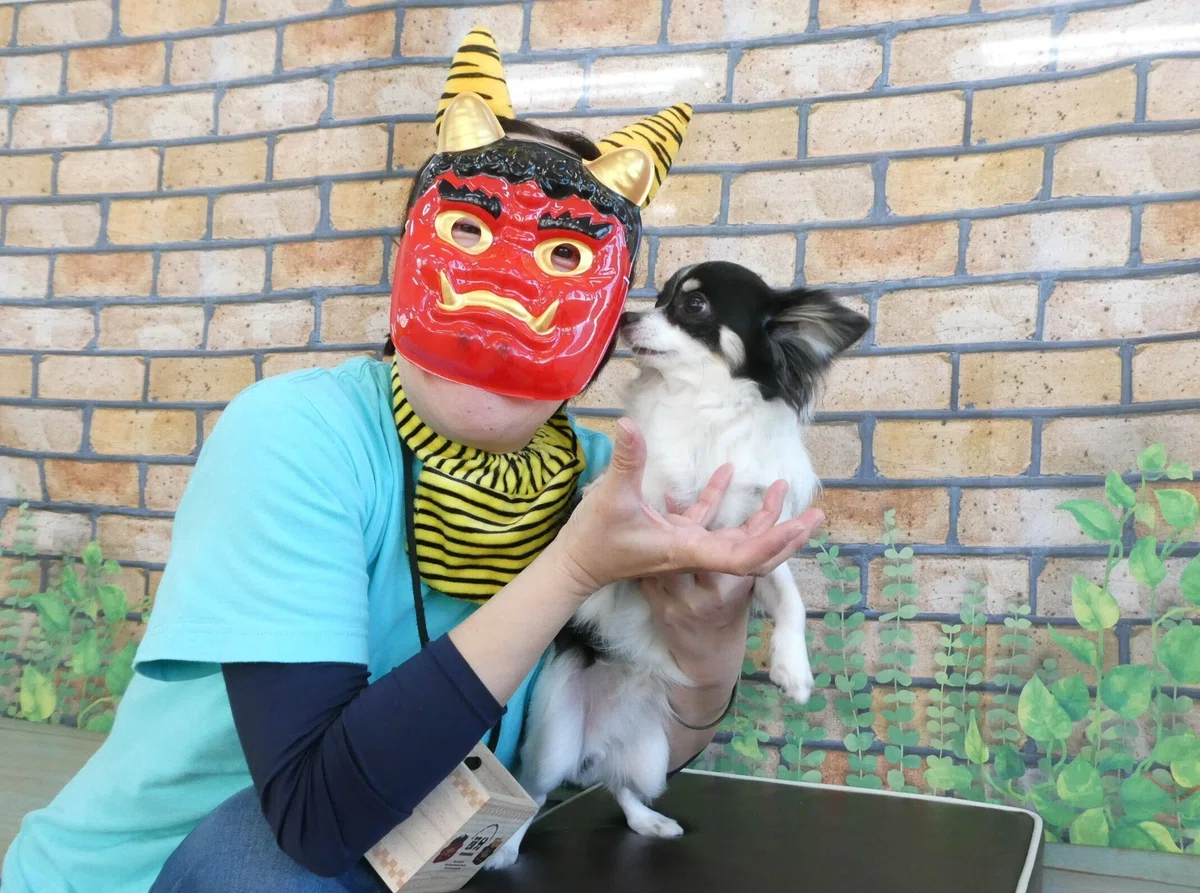 画像