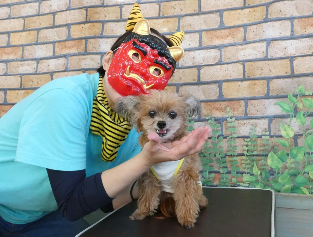 画像