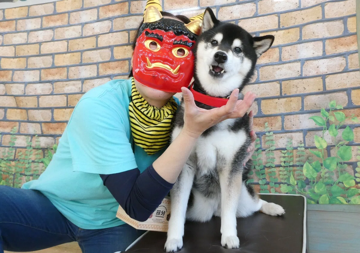 画像