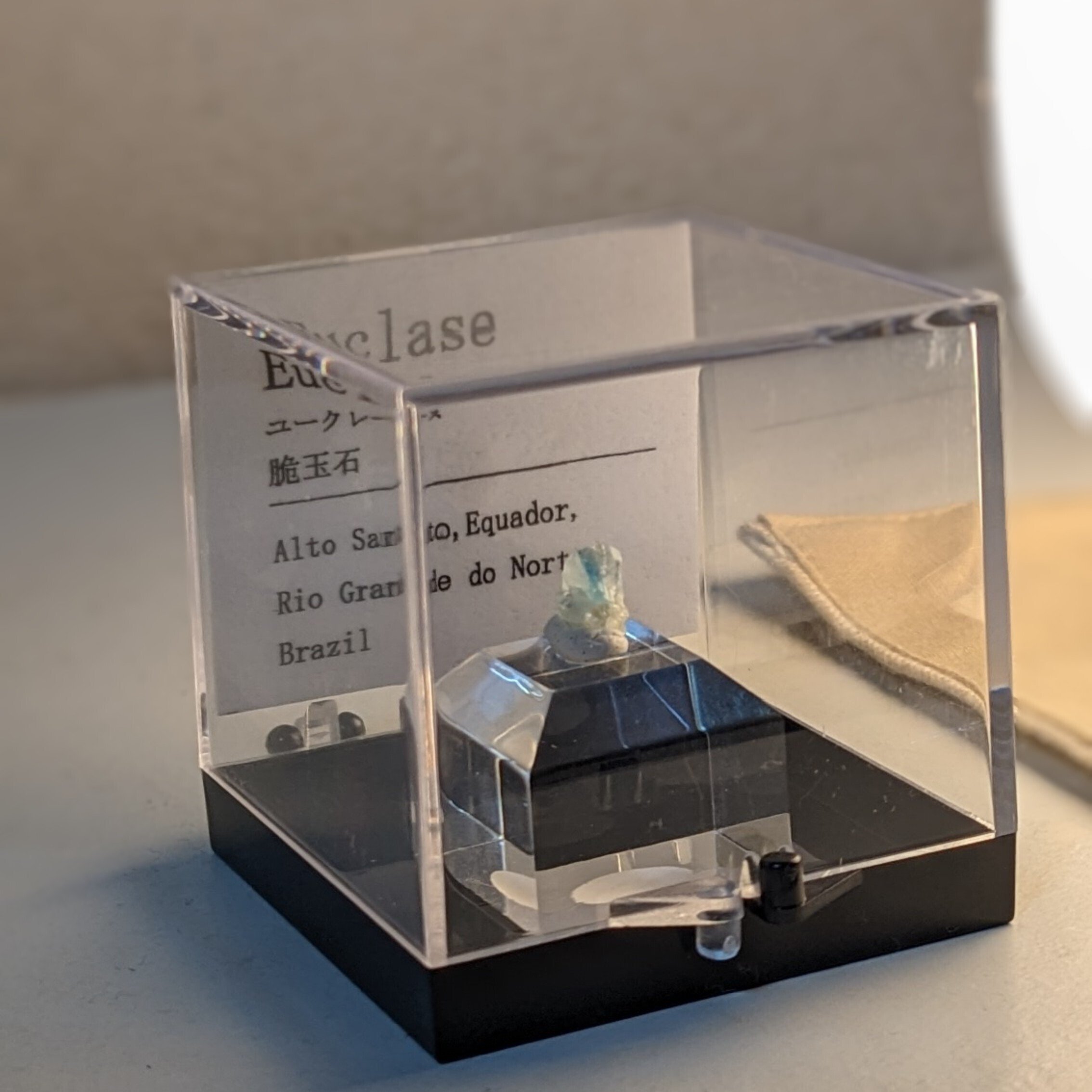 天然石 結晶 貝化石クラスター原石置物オブジェ ミネラルマルシェ 巨大